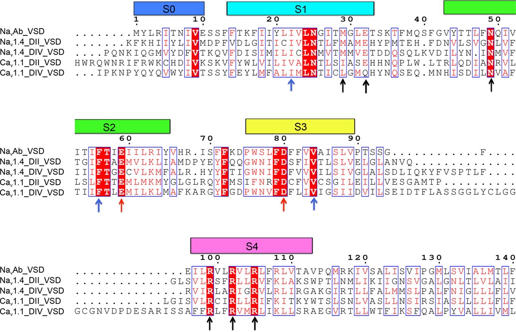 Extended Data Fig. 1