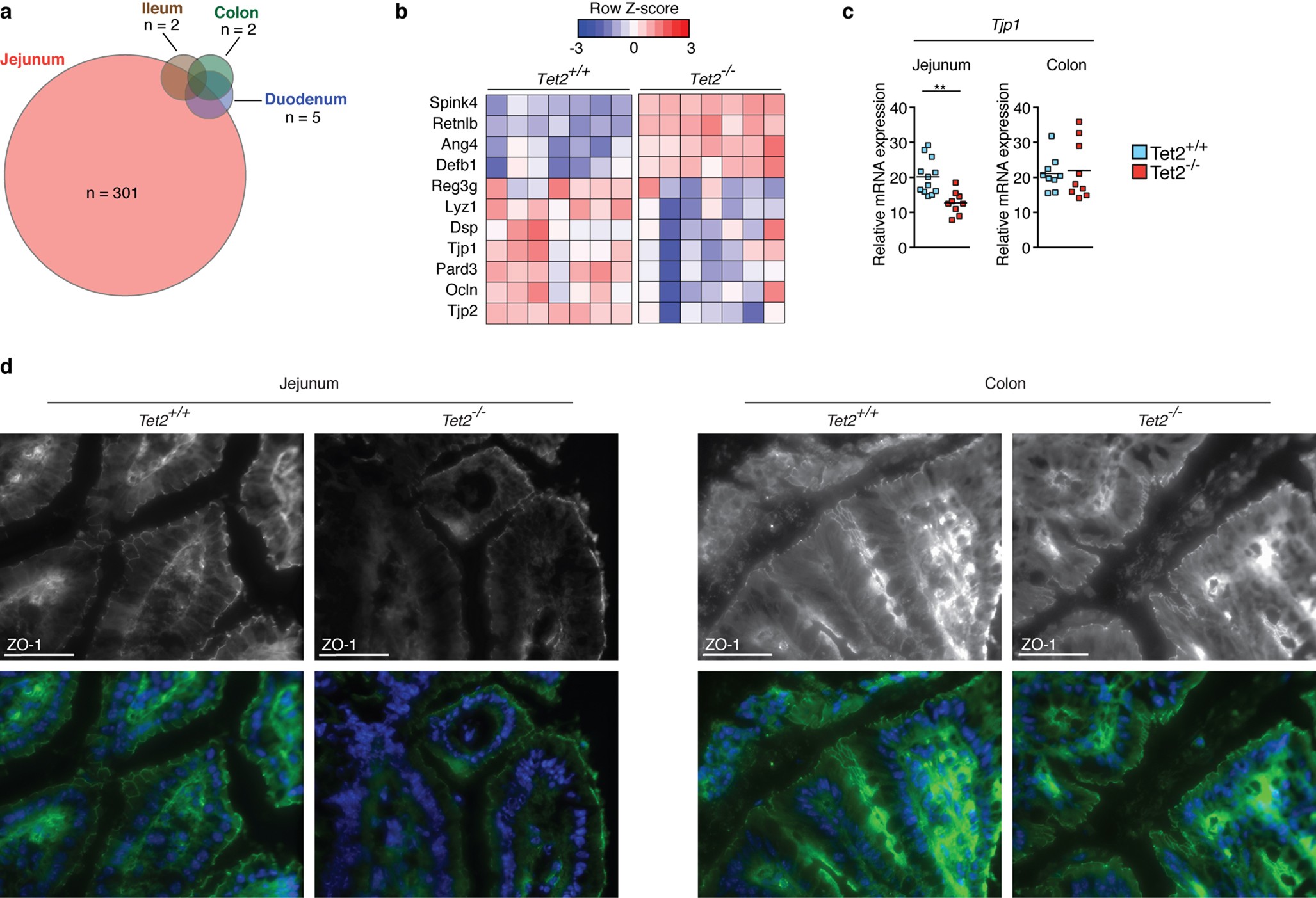 Extended Data Fig. 4