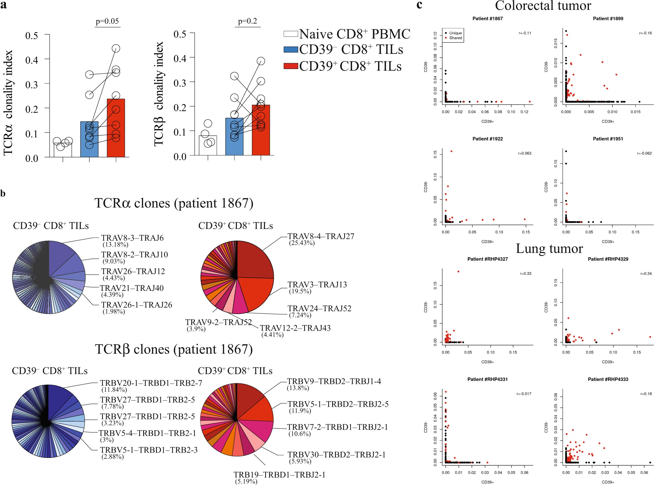 Extended Data Fig. 7: Skewed TCR repertoire between CD39− and CD39+ CD8+ TILs.