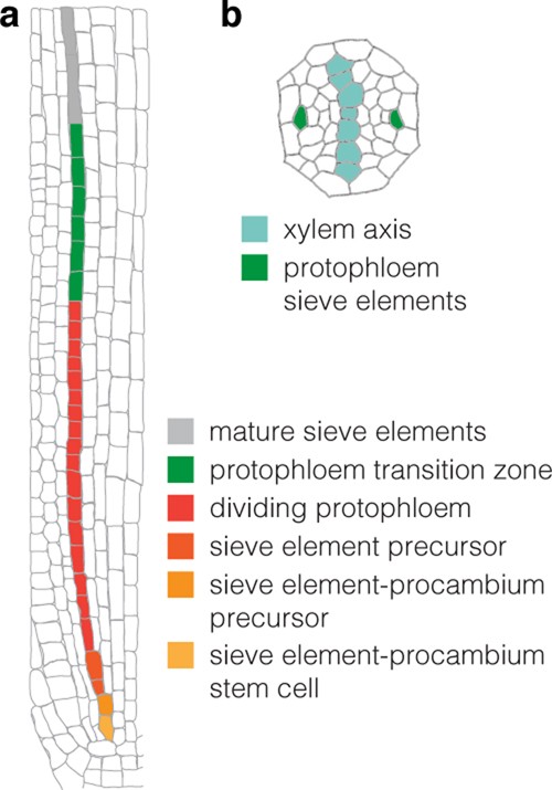 Extended Data Fig. 1