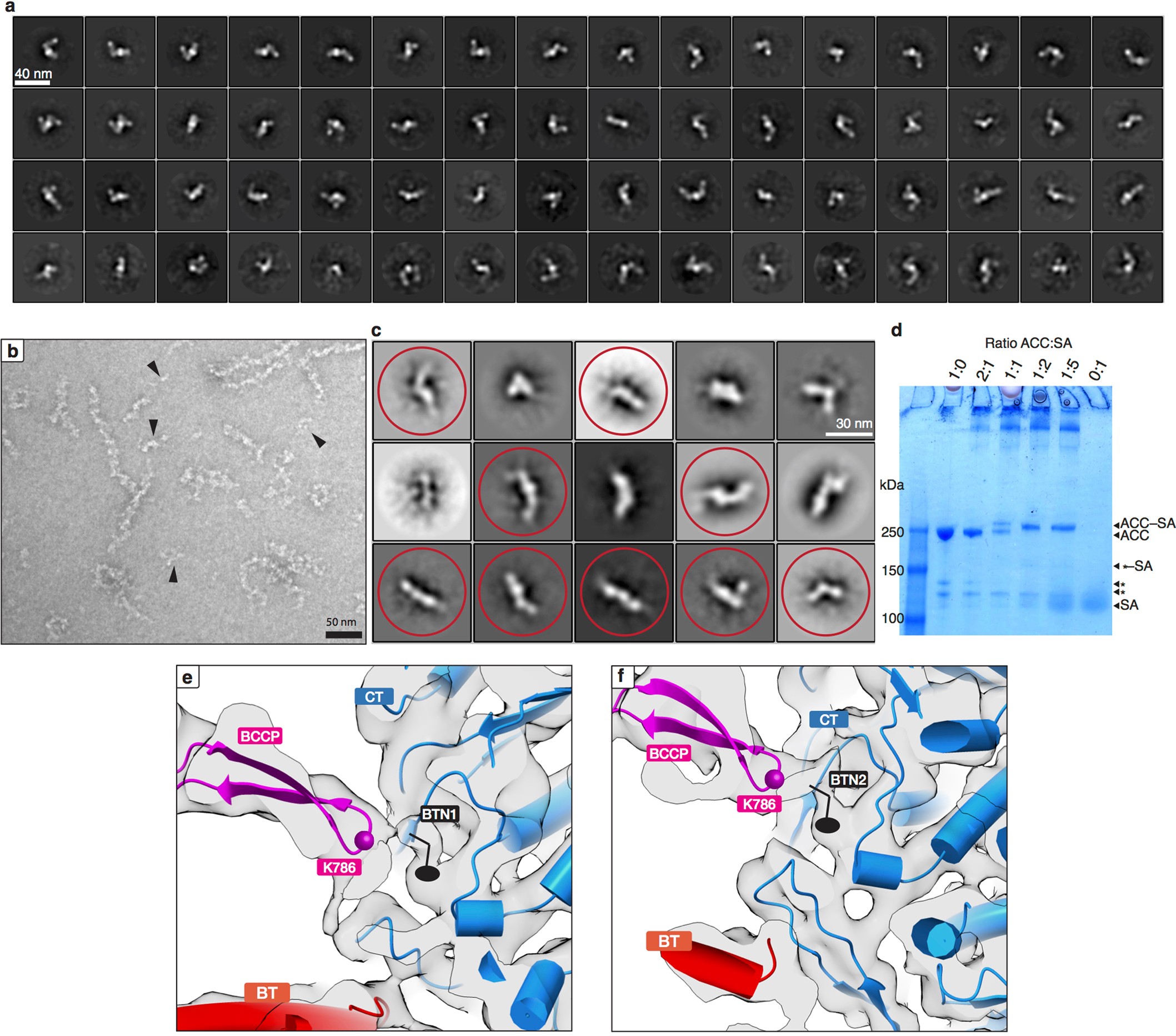Extended Data Fig. 5
