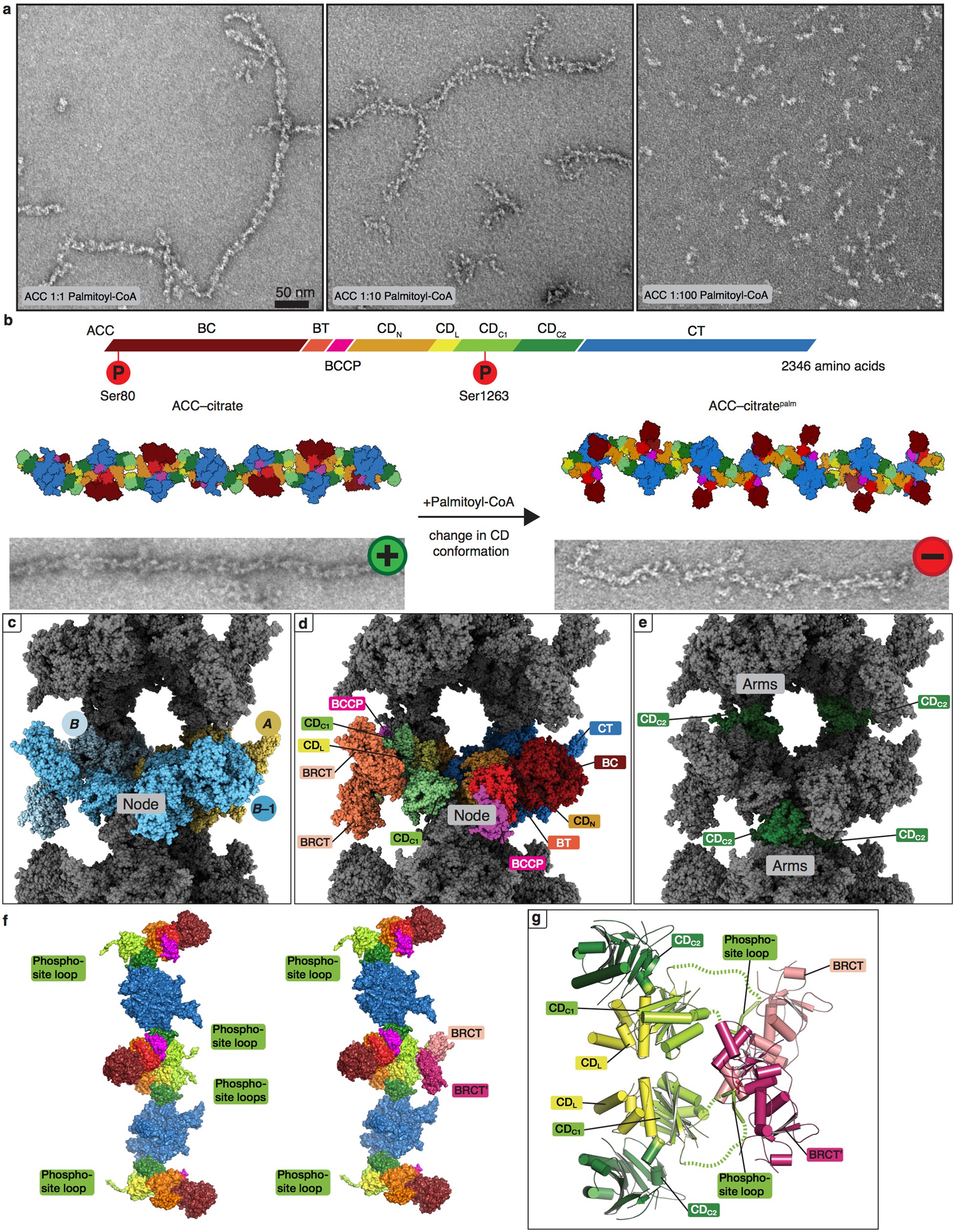 Extended Data Fig. 7