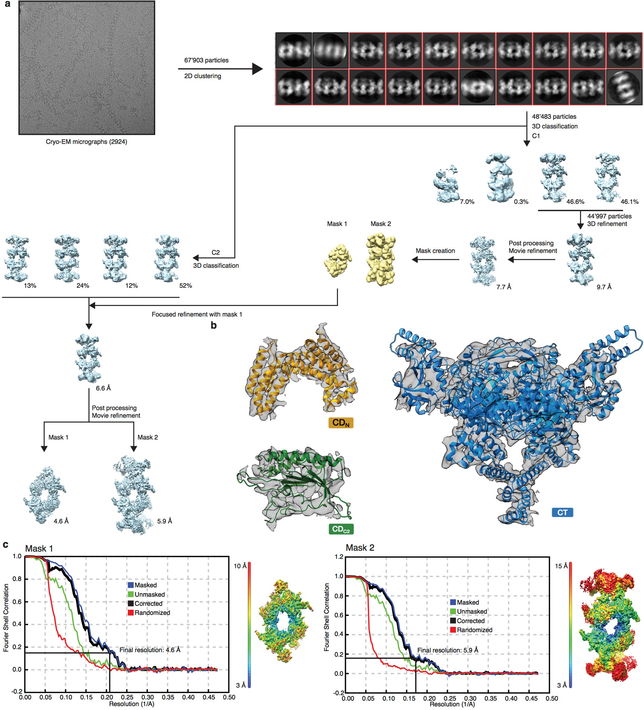Extended Data Fig. 3