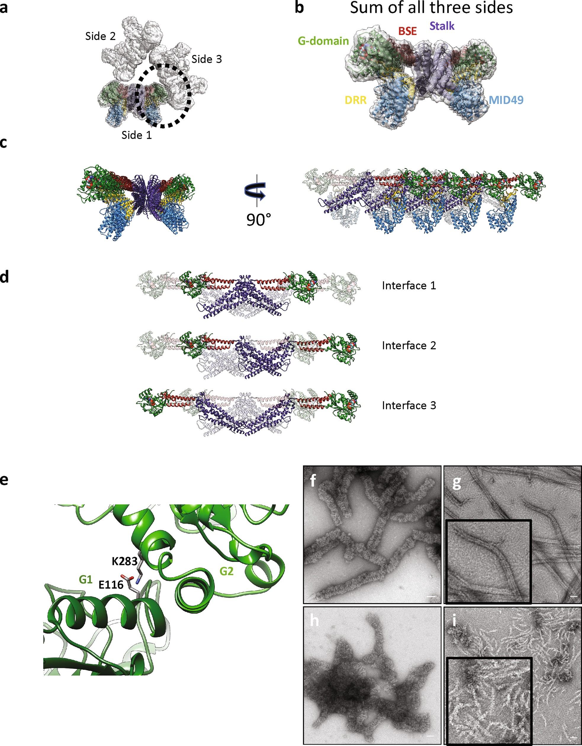 Extended Data Fig. 3