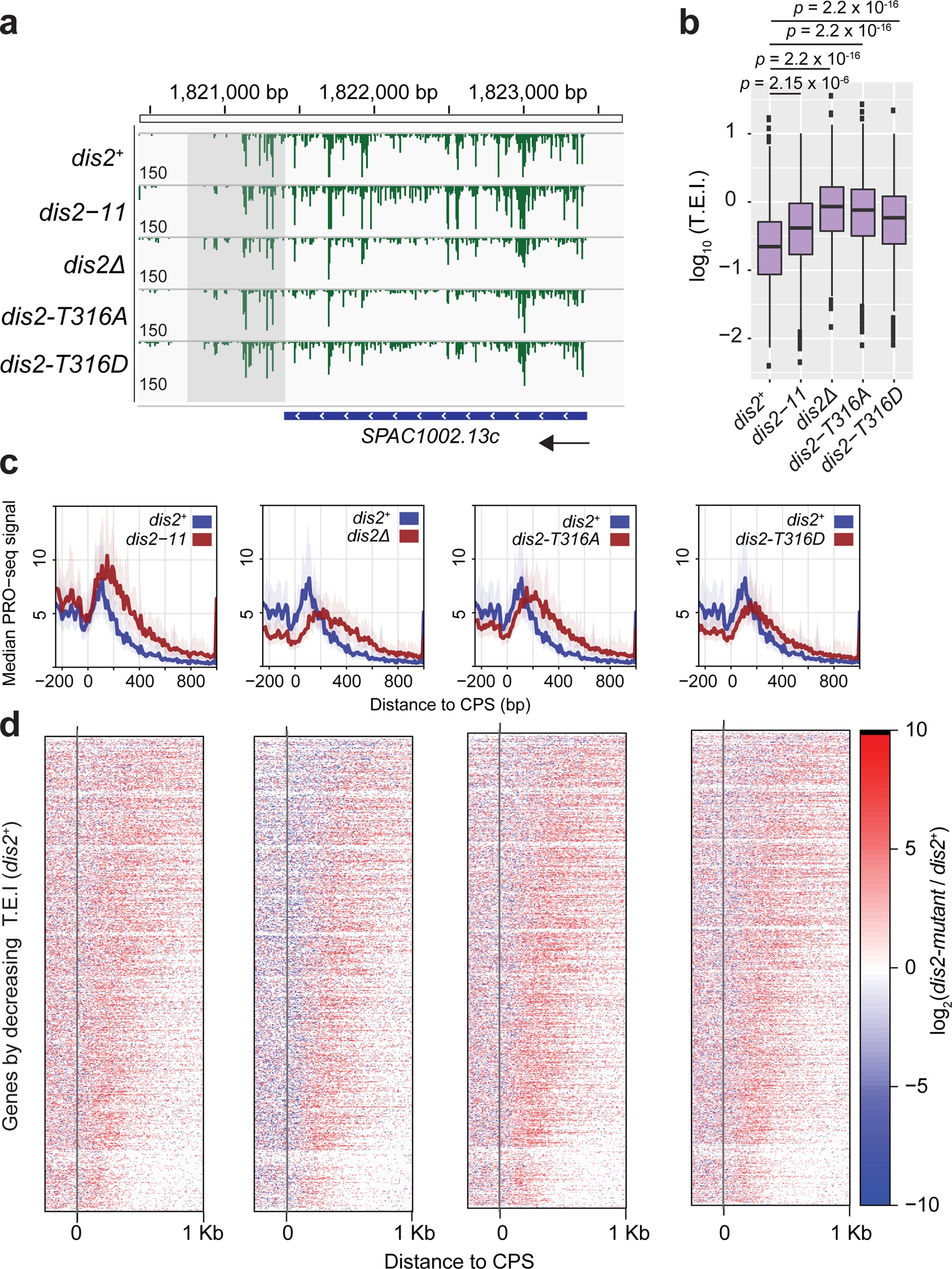 Extended Data Fig. 10: Multiple dis2 mutations cause termination defects.