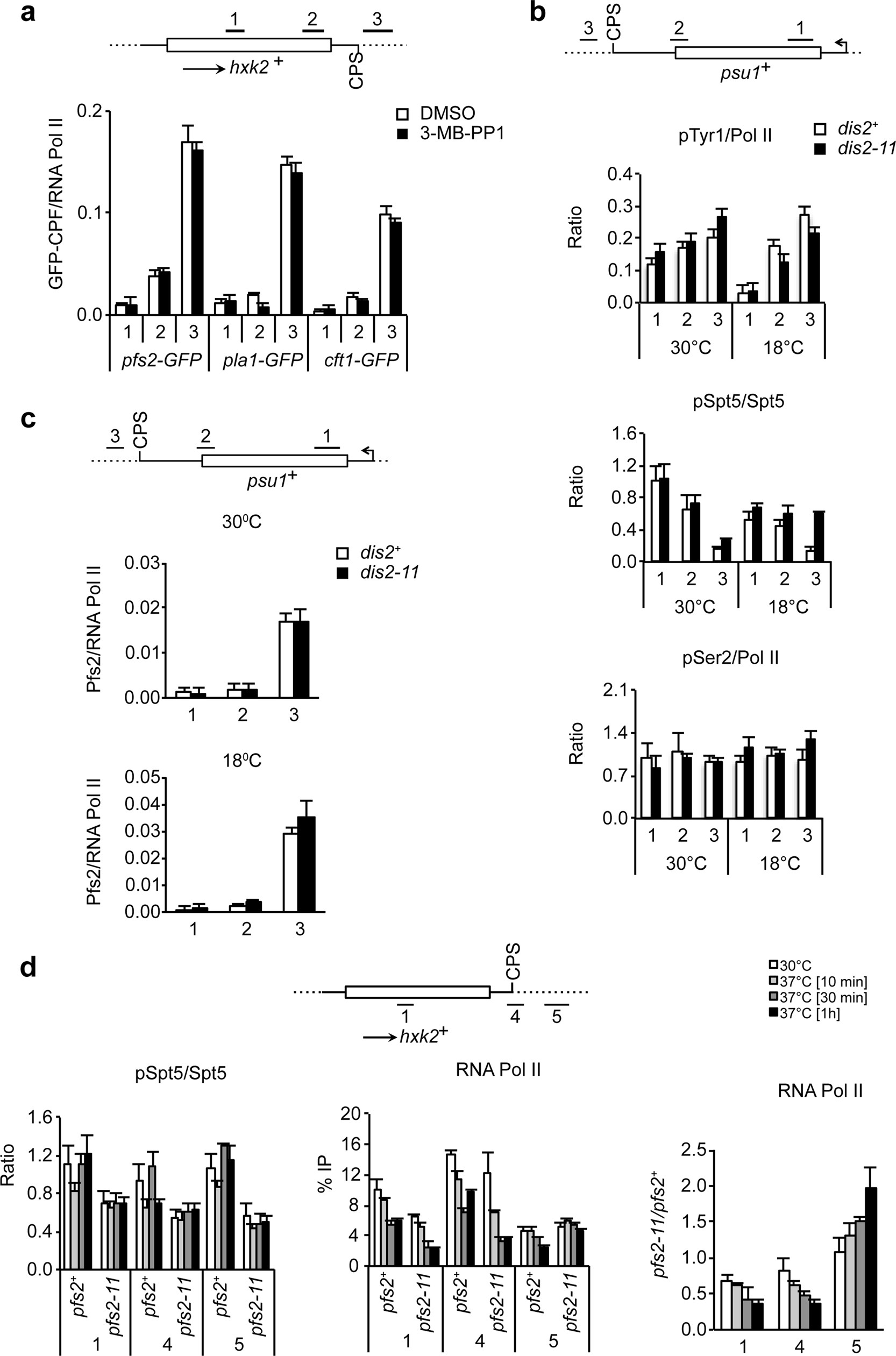 Extended Data Fig. 5: Regulation of pSpt5 by Cdk9 and Dis2 occurs independently of CPF recruitment and upstream of CPF function.