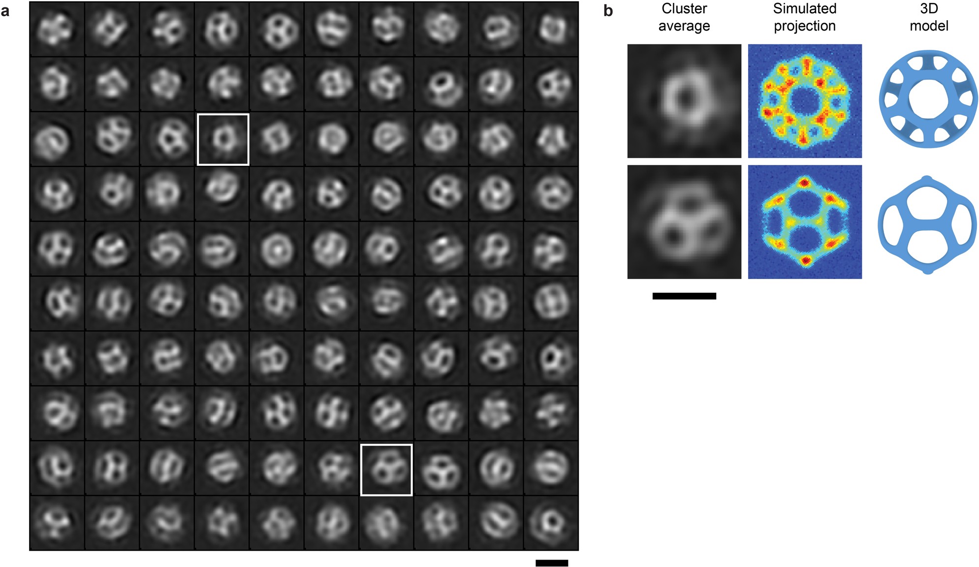 Extended Data Fig. 2: Cluster averages of two-dimensional images of silicages.