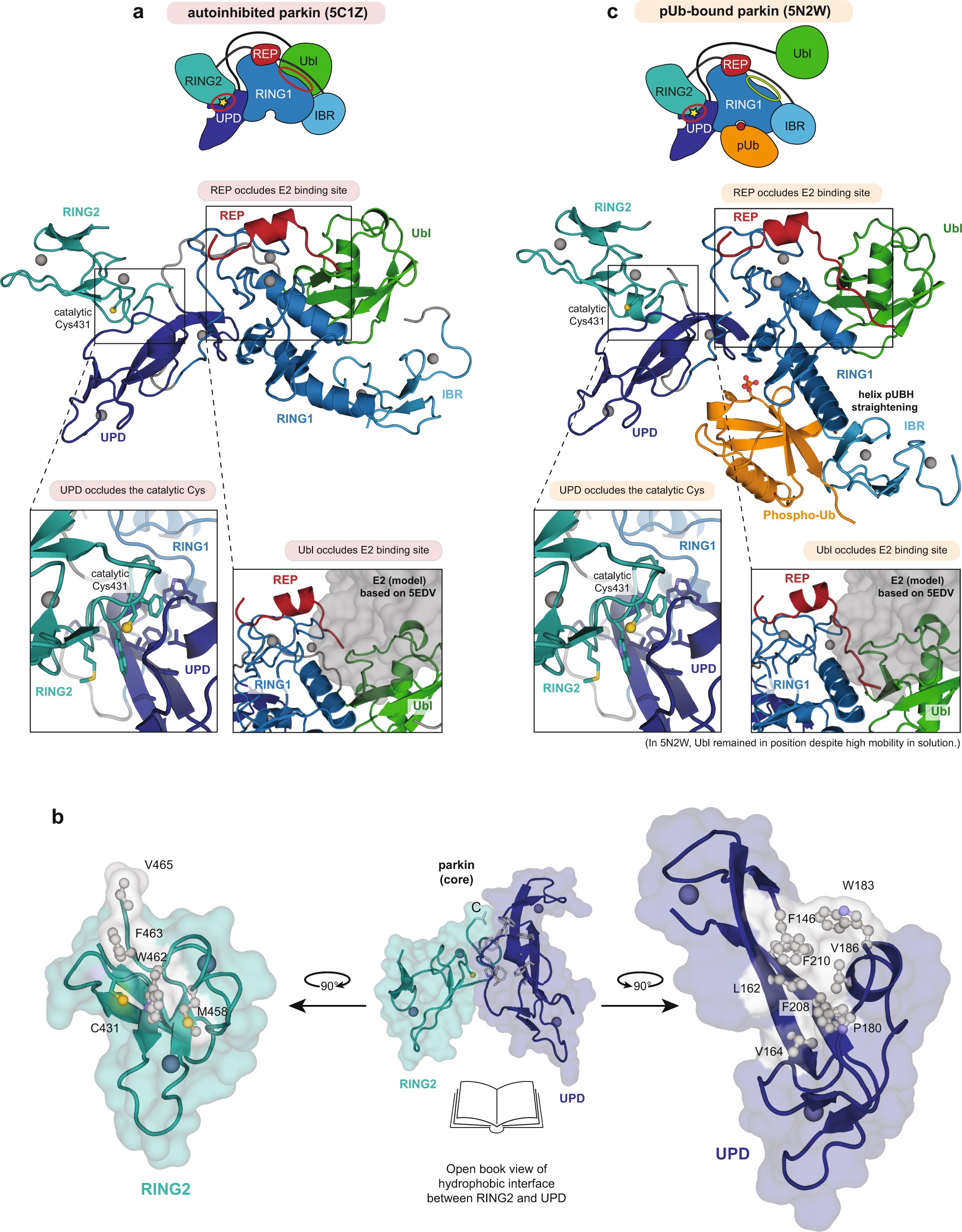 Extended Data Fig. 1
