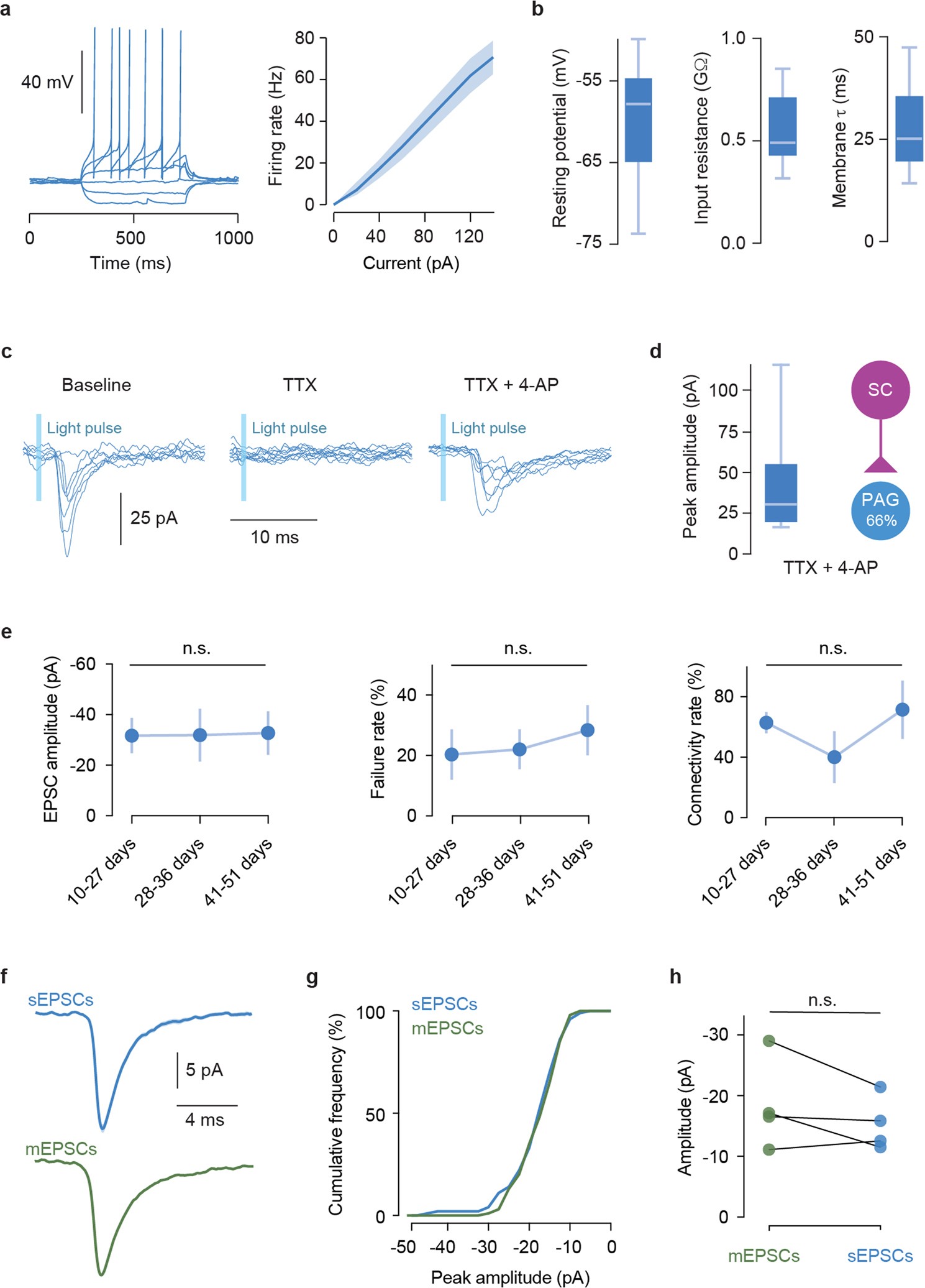 Extended Data Fig. 8: Biophysical properties of excitatory dPAG neurons and synaptic properties of the dmSC-dPAG excitatory connection.