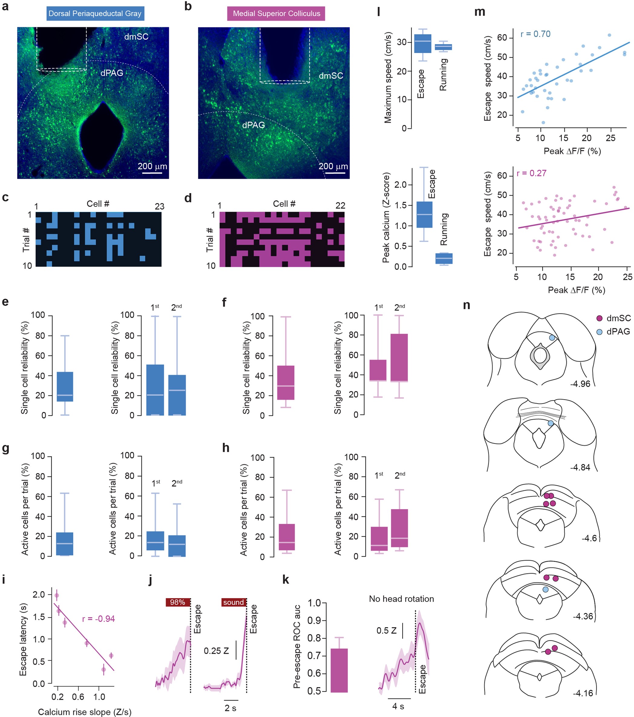 Extended Data Fig. 4: The reliability and fraction of active cells is stable over multiple trials of calcium imaging, activity in the dmSC does not reflect head rotation and rises with different slopes, and dPAG activity is specific to escape.