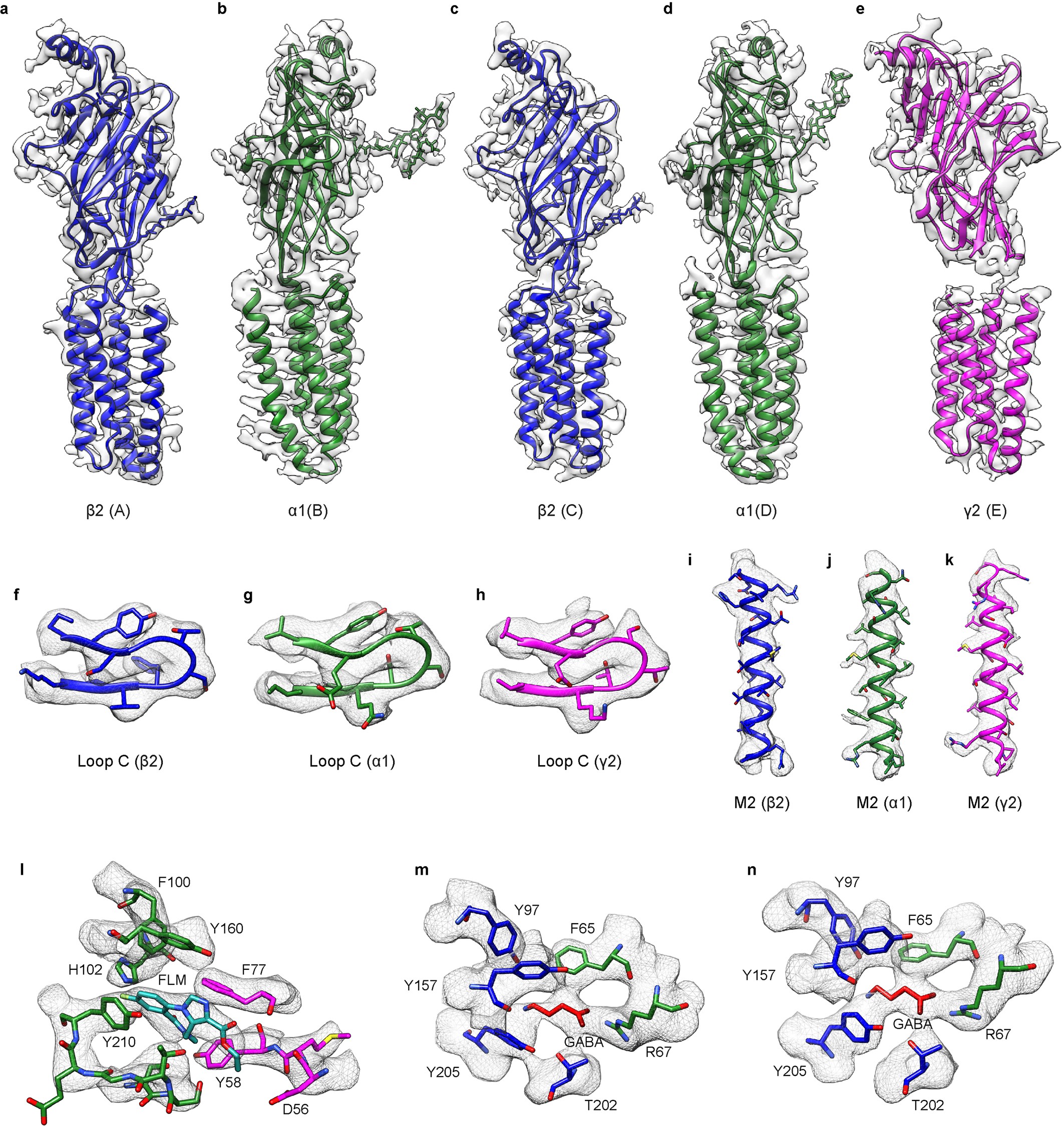 Extended Data Fig. 6