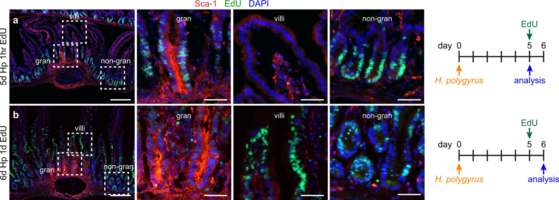 Extended Data Fig. 7