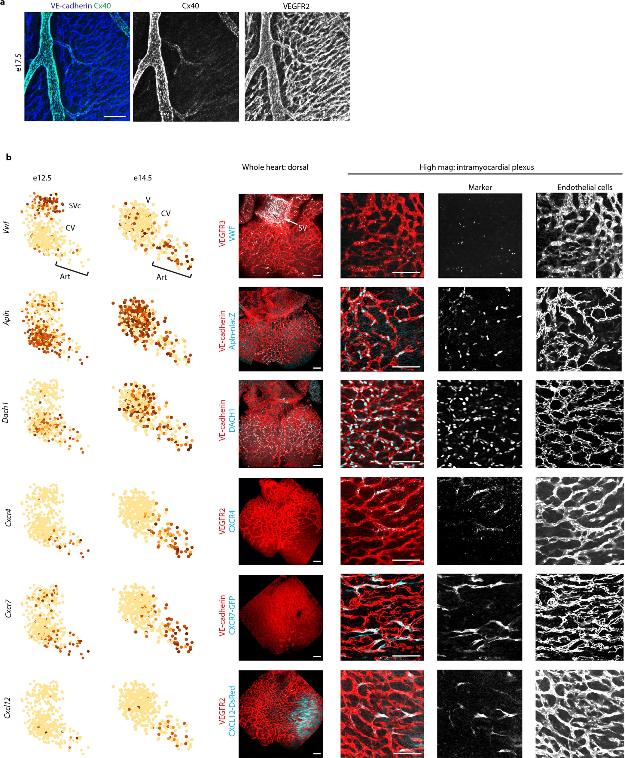 Extended Data Fig. 5