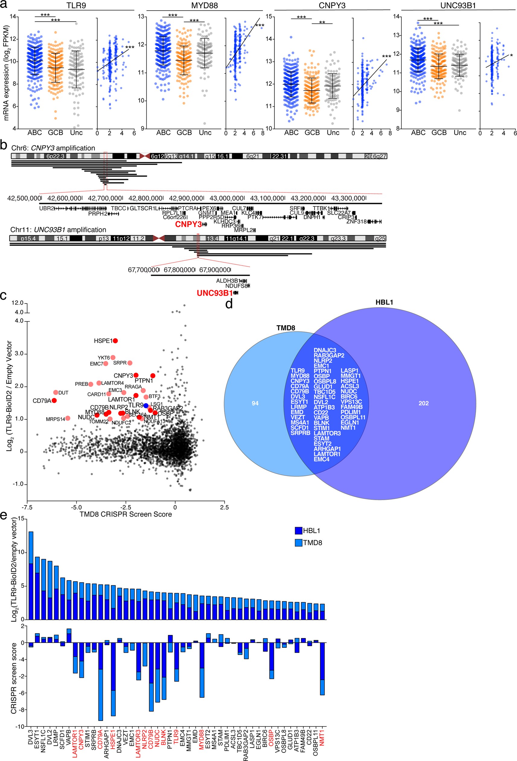 Extended Data Fig. 4: TLR9 overexpression and association with the BCR are features of ABC DLBCL.