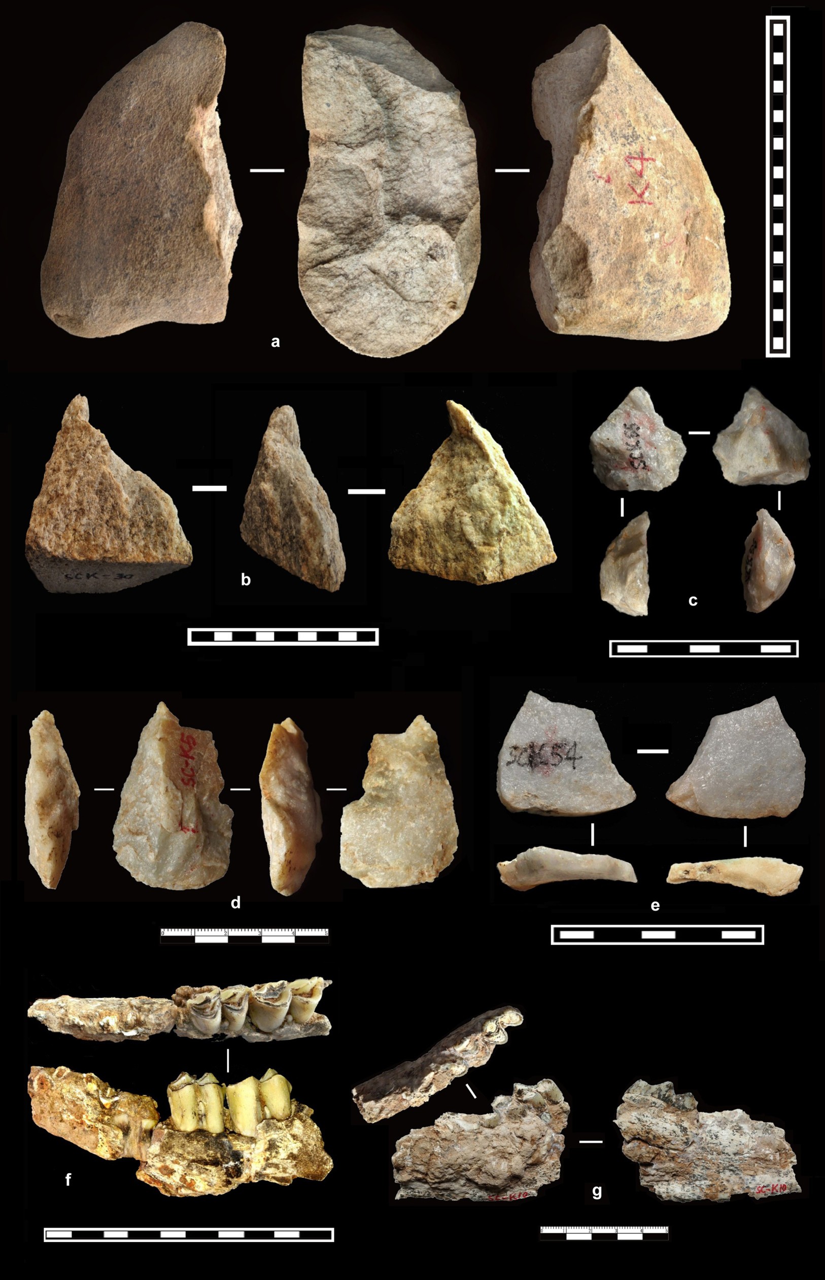 Extended Data Fig. 10: Selected artefacts and fossils from the exploratory trench (subsection KW) in S27 and L28.