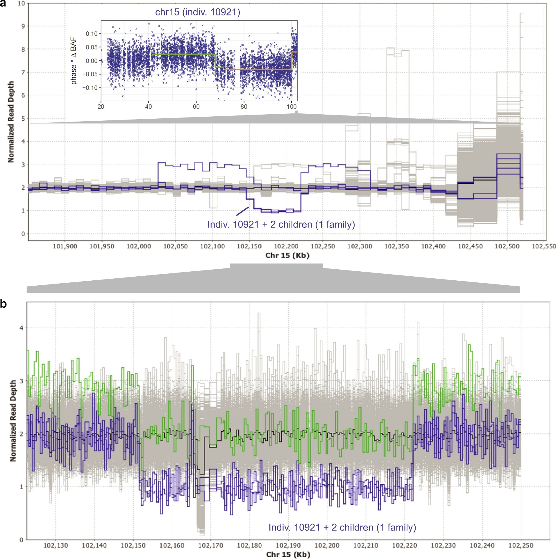 Extended Data Fig. 6: Germline CNVs at 15q26.3.