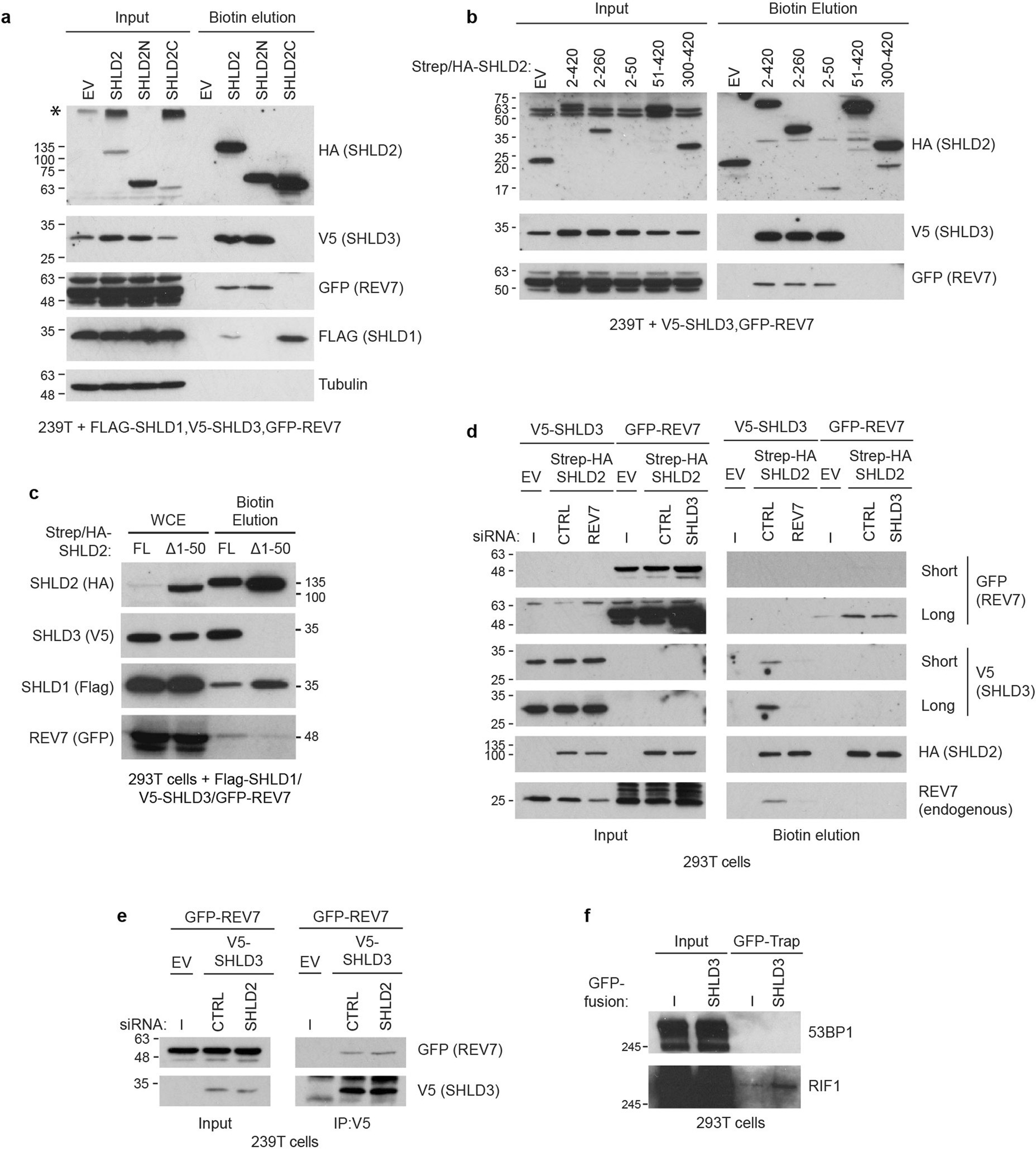 Extended Data Fig. 7