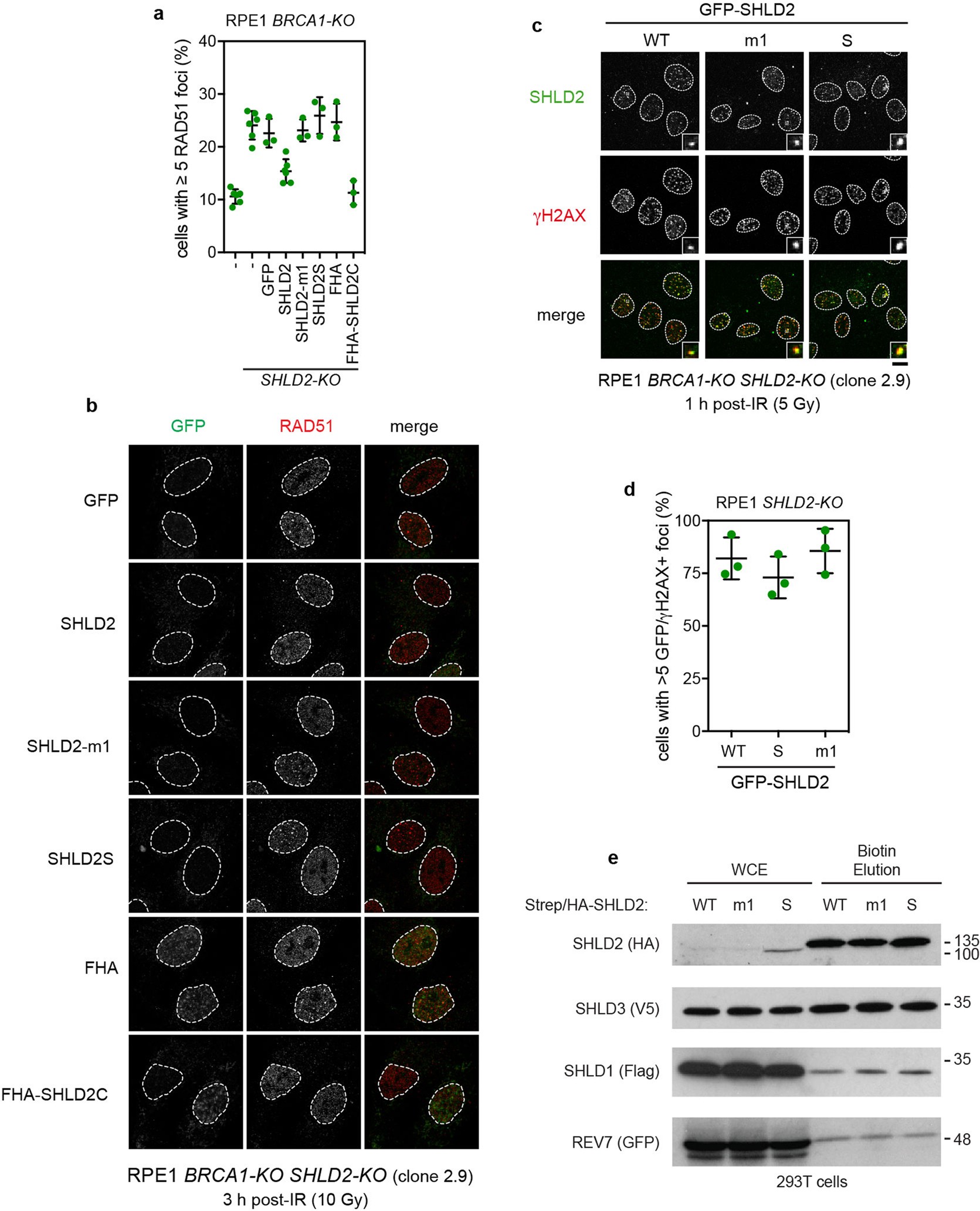 Extended Data Fig. 10