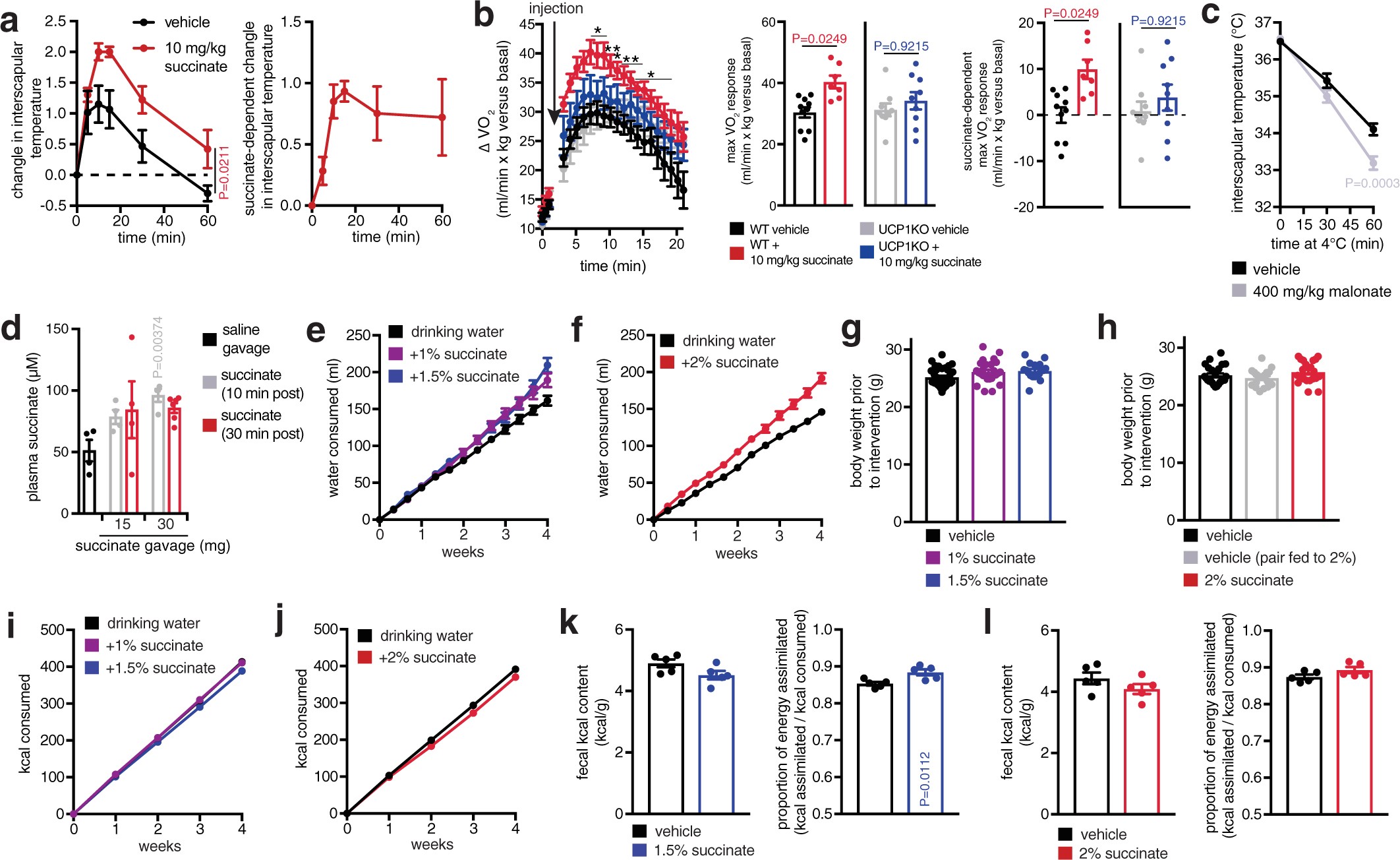 Extended Data Fig. 8: Metabolic characterization of mice following systemic succinate administration.