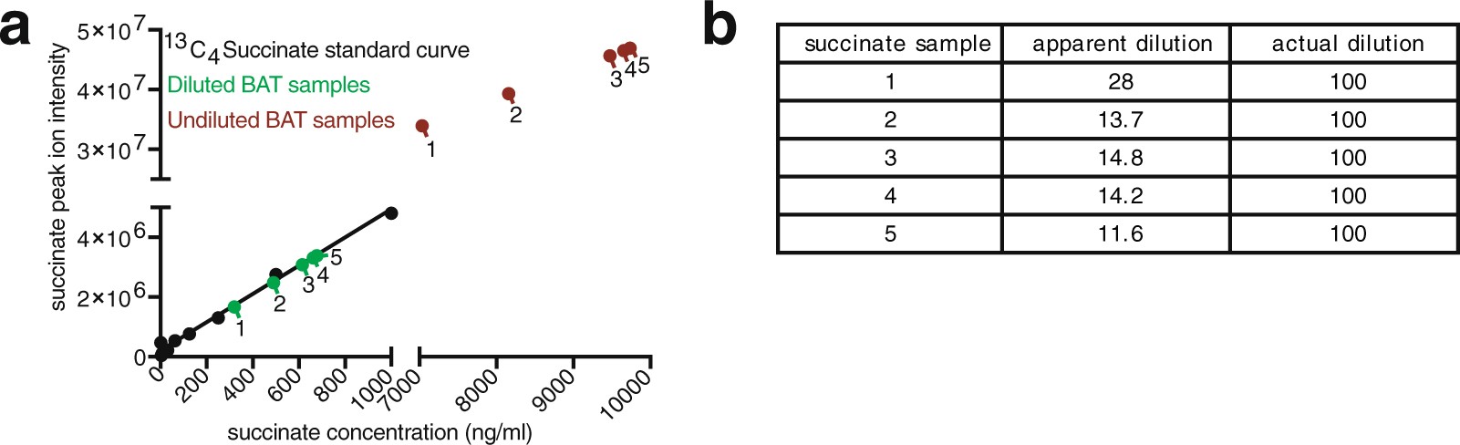 Extended Data Fig. 1: Quality control for mass-spectrometry analysis of succinate in thermogenic adipose tissue.
