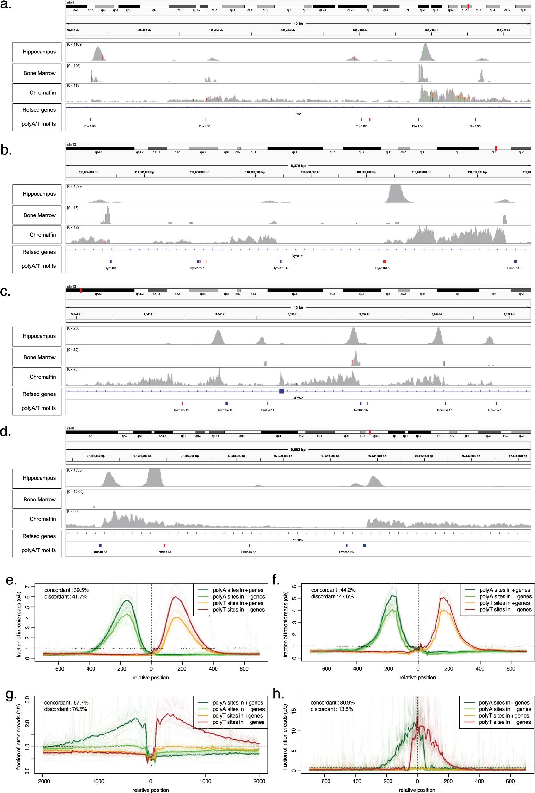 Extended Data Fig. 1: Most of the intronic reads arise due to internal priming from stable positions.