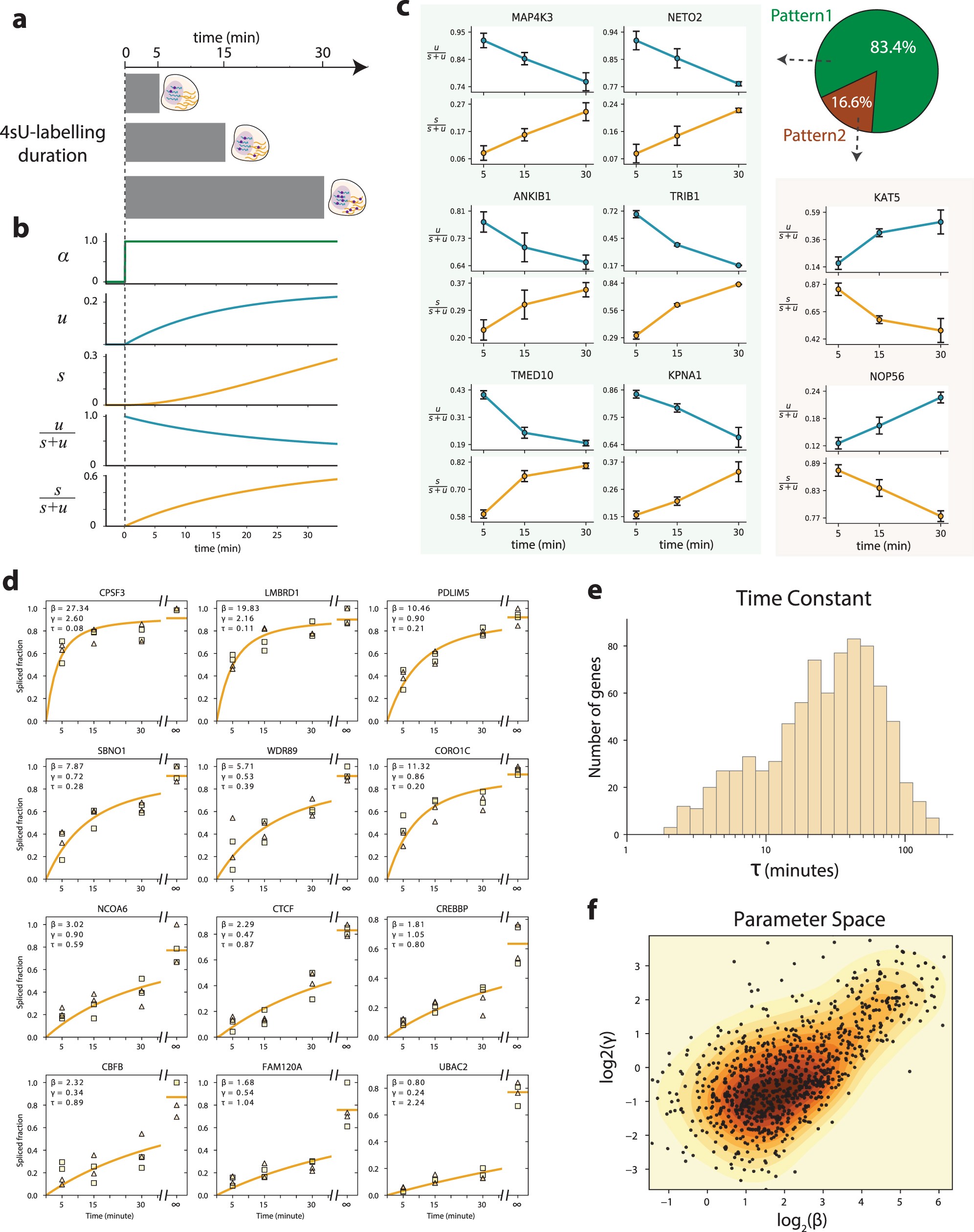 Extended Data Fig. 2: Estimation of the characteristic time of RNA metabolism in human cells.