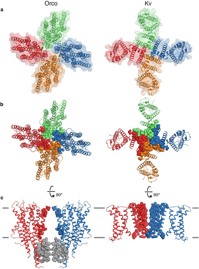 Extended Data Fig. 6