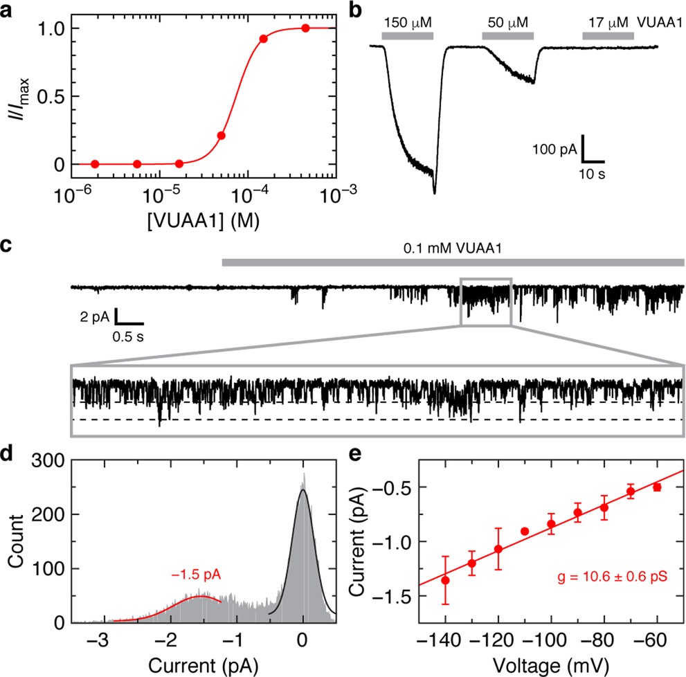 Extended Data Fig. 2: Electrophysiological characterization of Orco.
