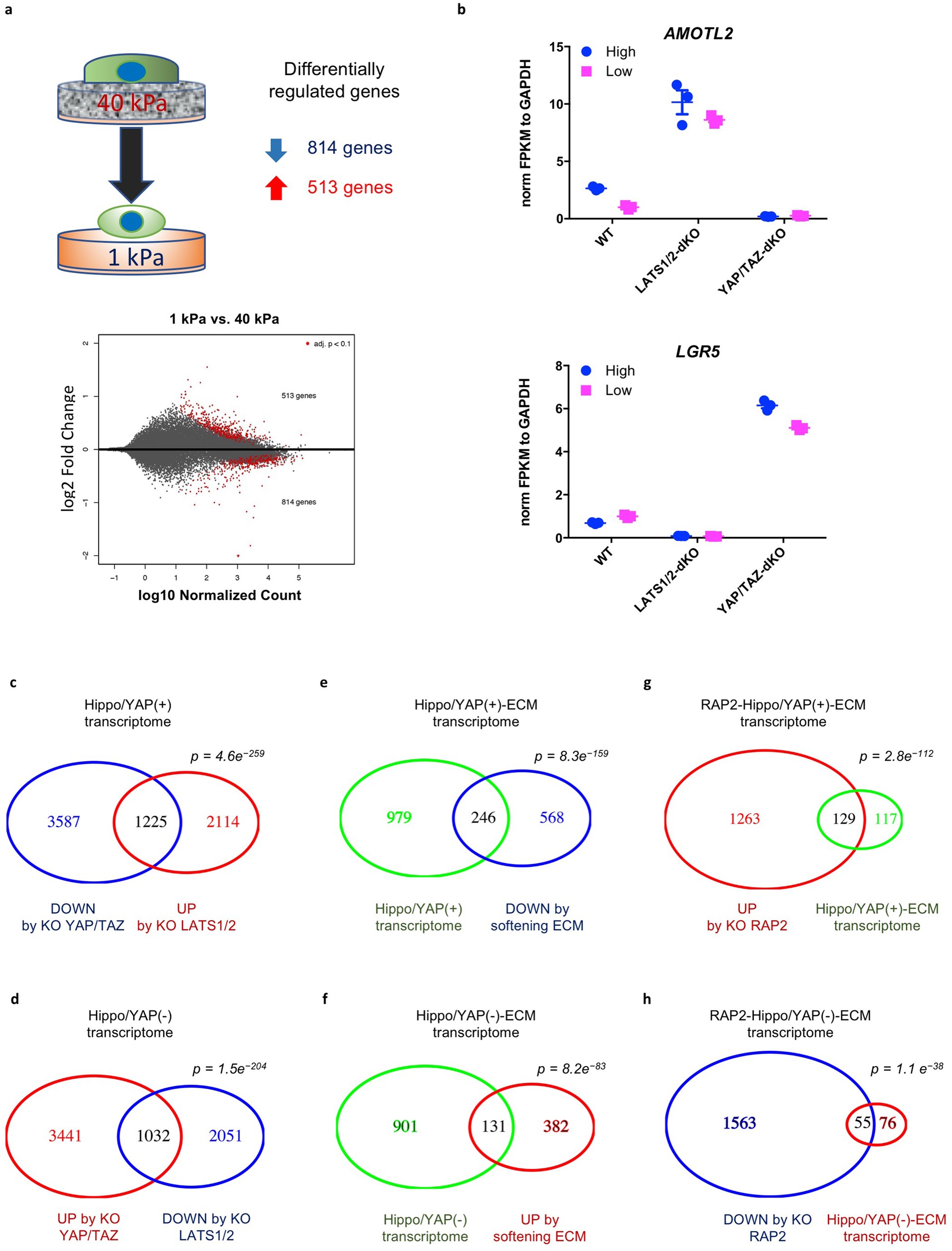 Extended Data Fig. 10