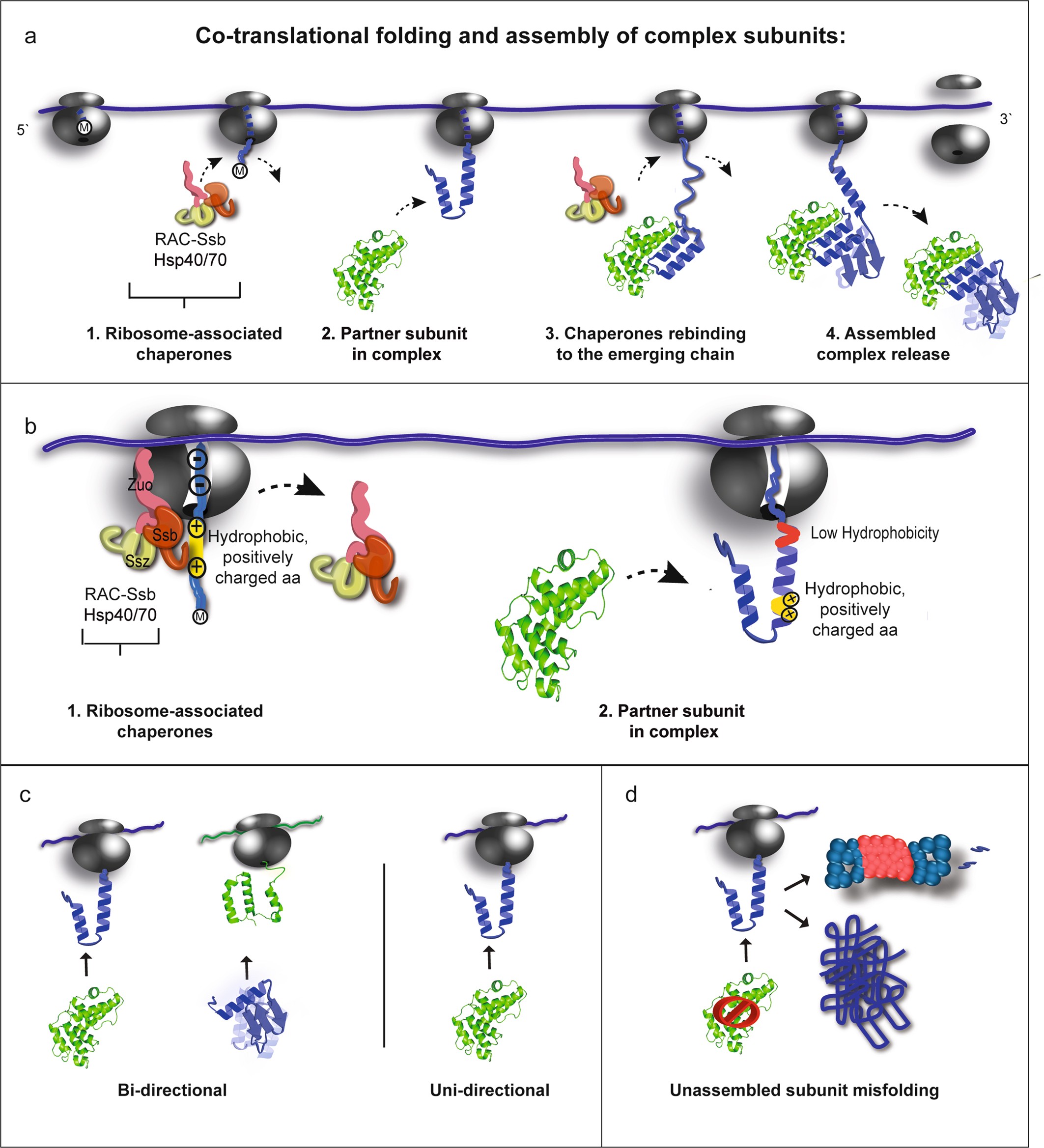 Extended Data Fig. 8