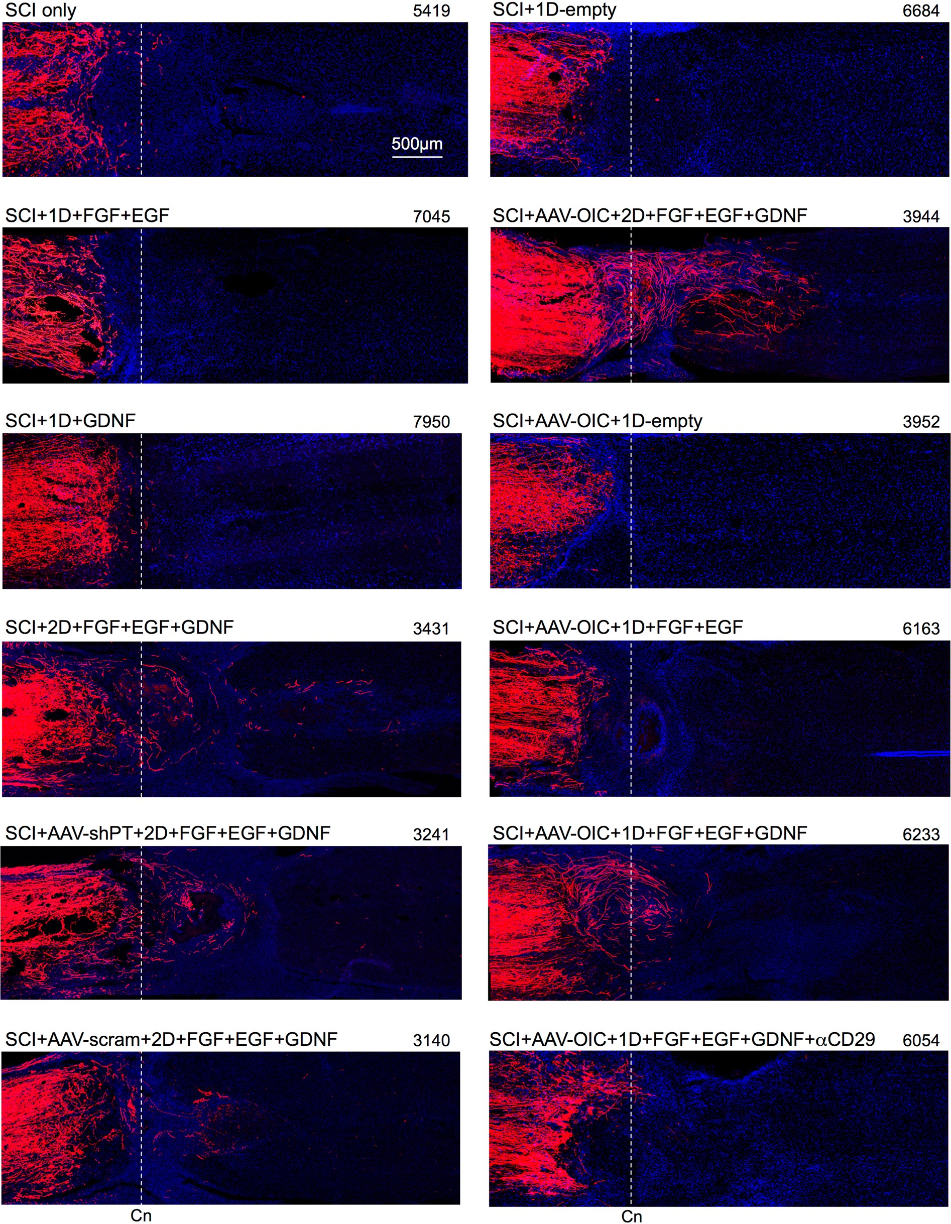 Extended Data Fig. 4