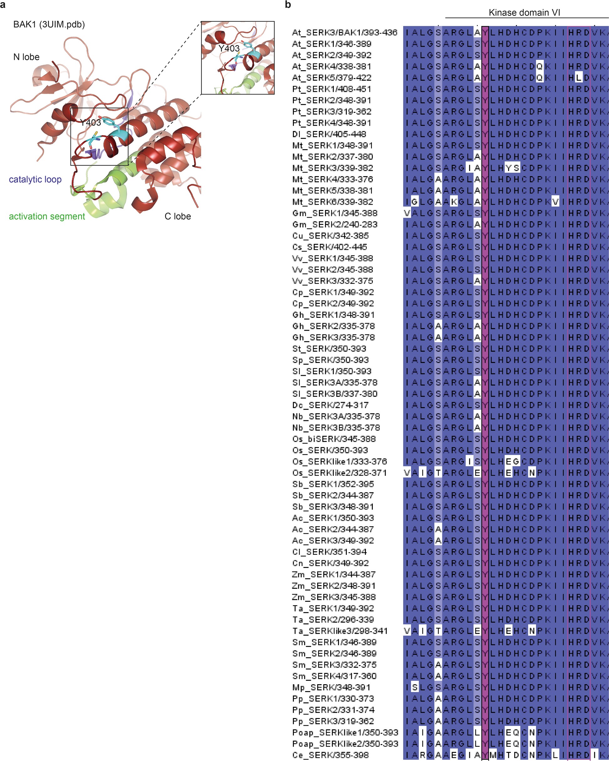 Extended Data Fig. 8