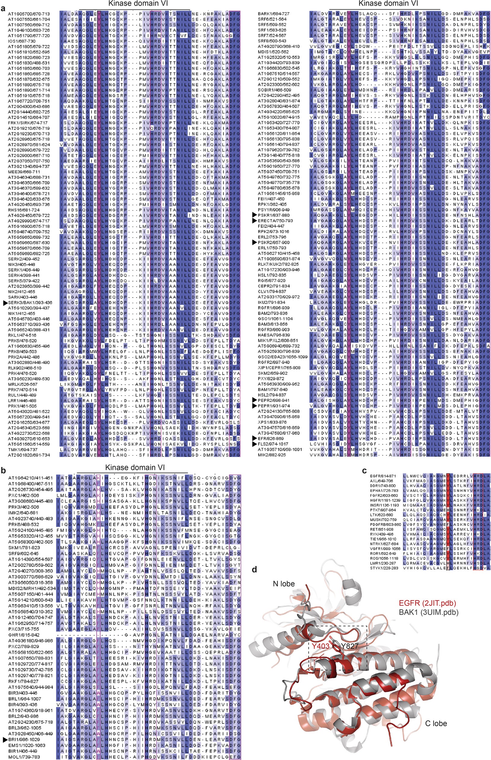 Extended Data Fig. 10