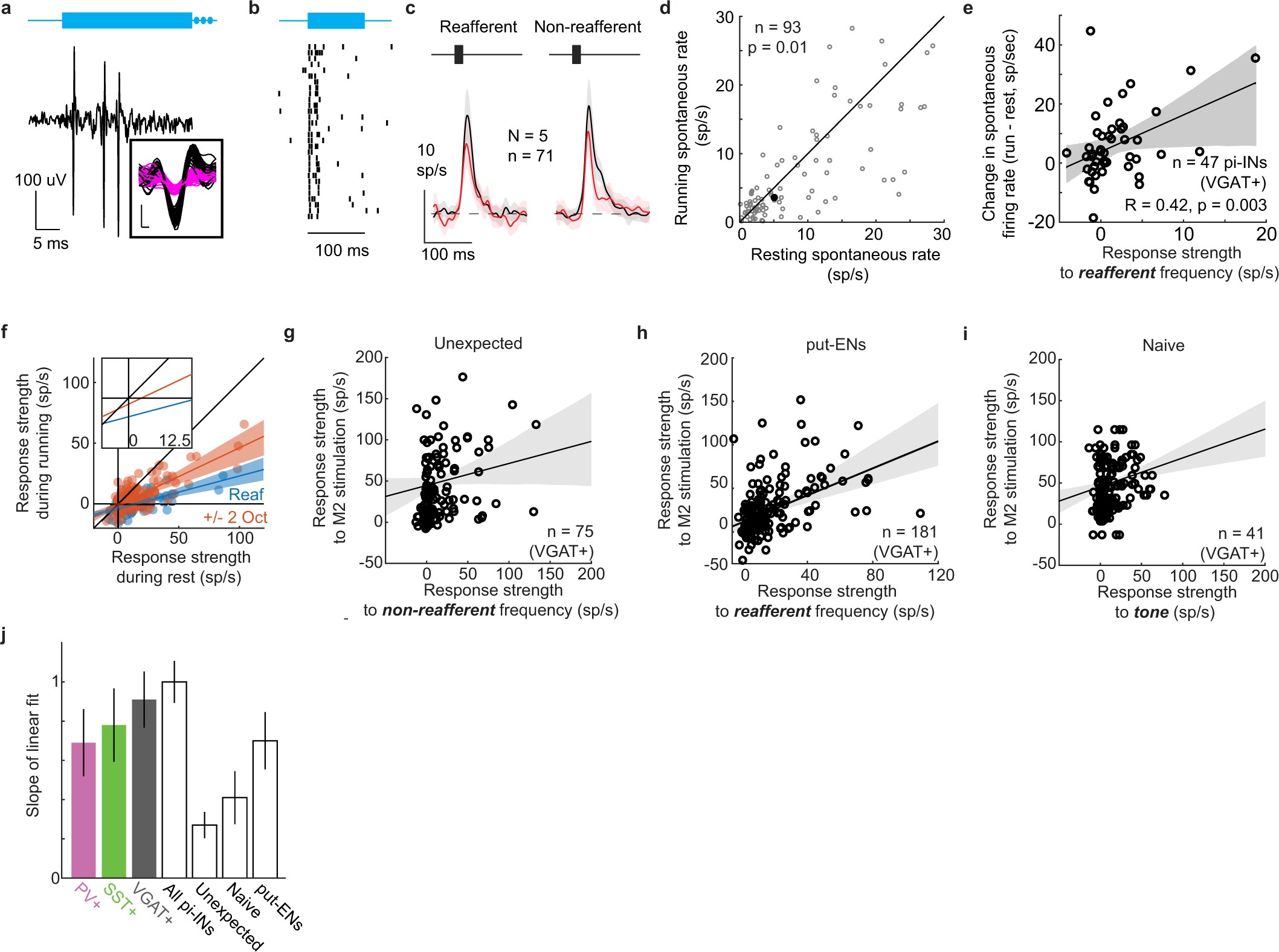Extended Data Fig. 5: Characterizing photo-identified inhibitory neurons in auditory cortex.