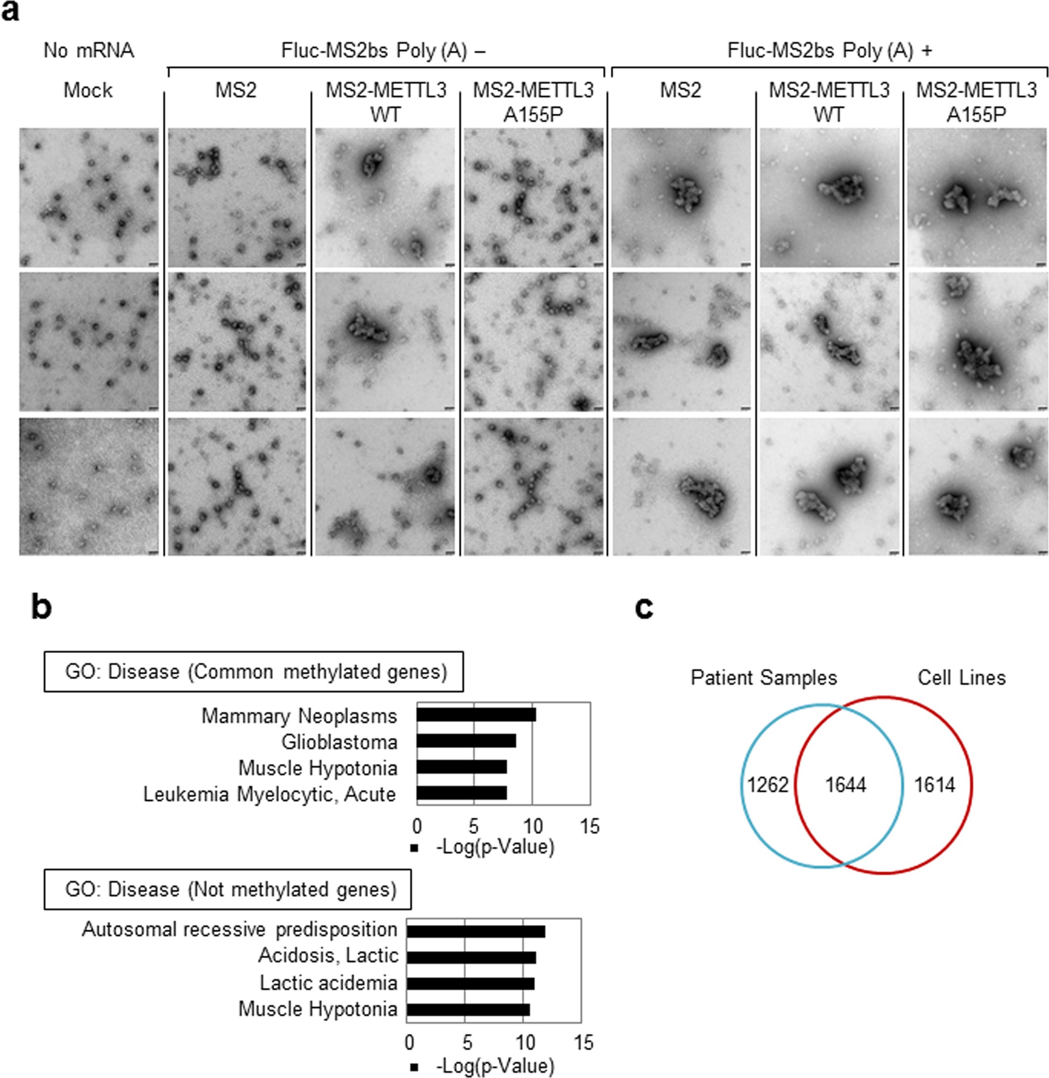 Extended Data Fig. 9