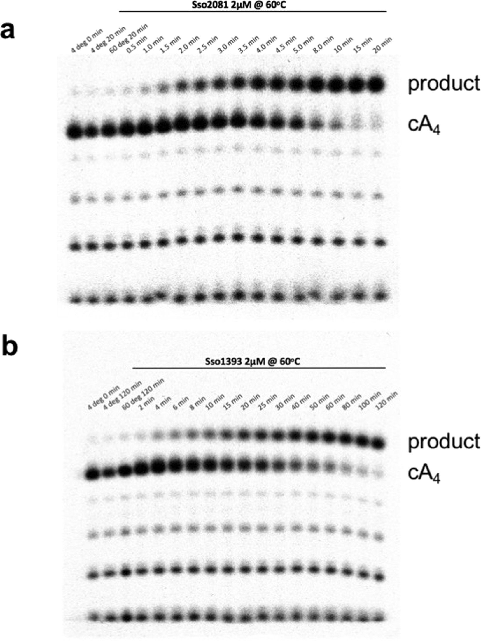 Extended Data Fig. 3