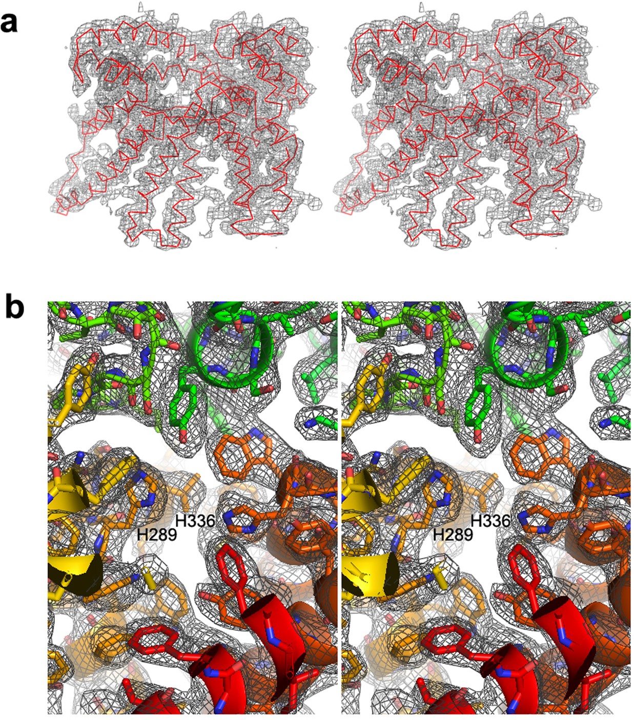 Extended Data Fig. 3: Electron density map of DltB.