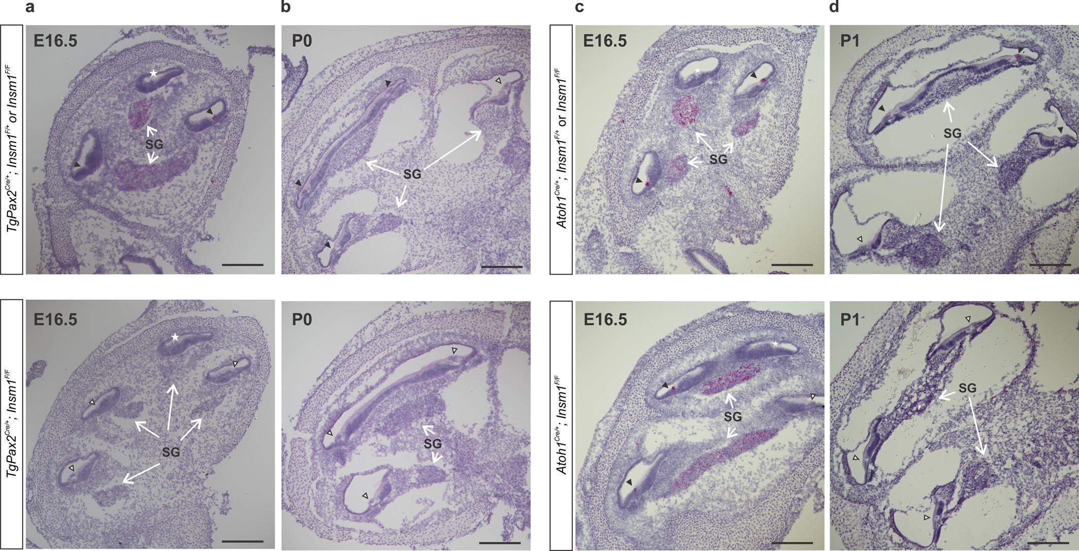 Extended Data Fig. 2