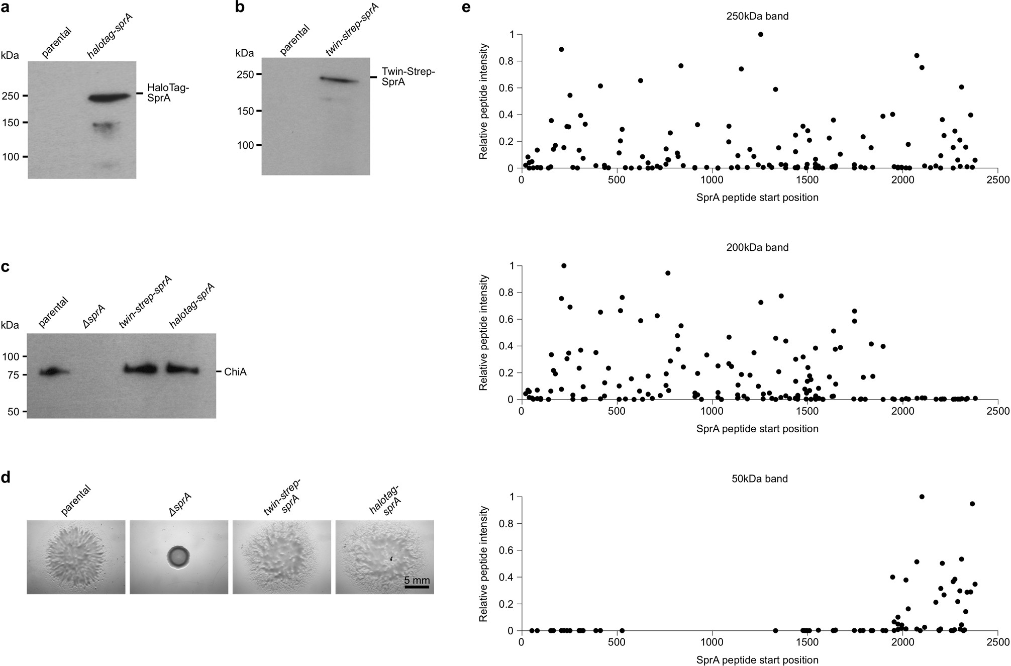 Extended Data Fig. 1