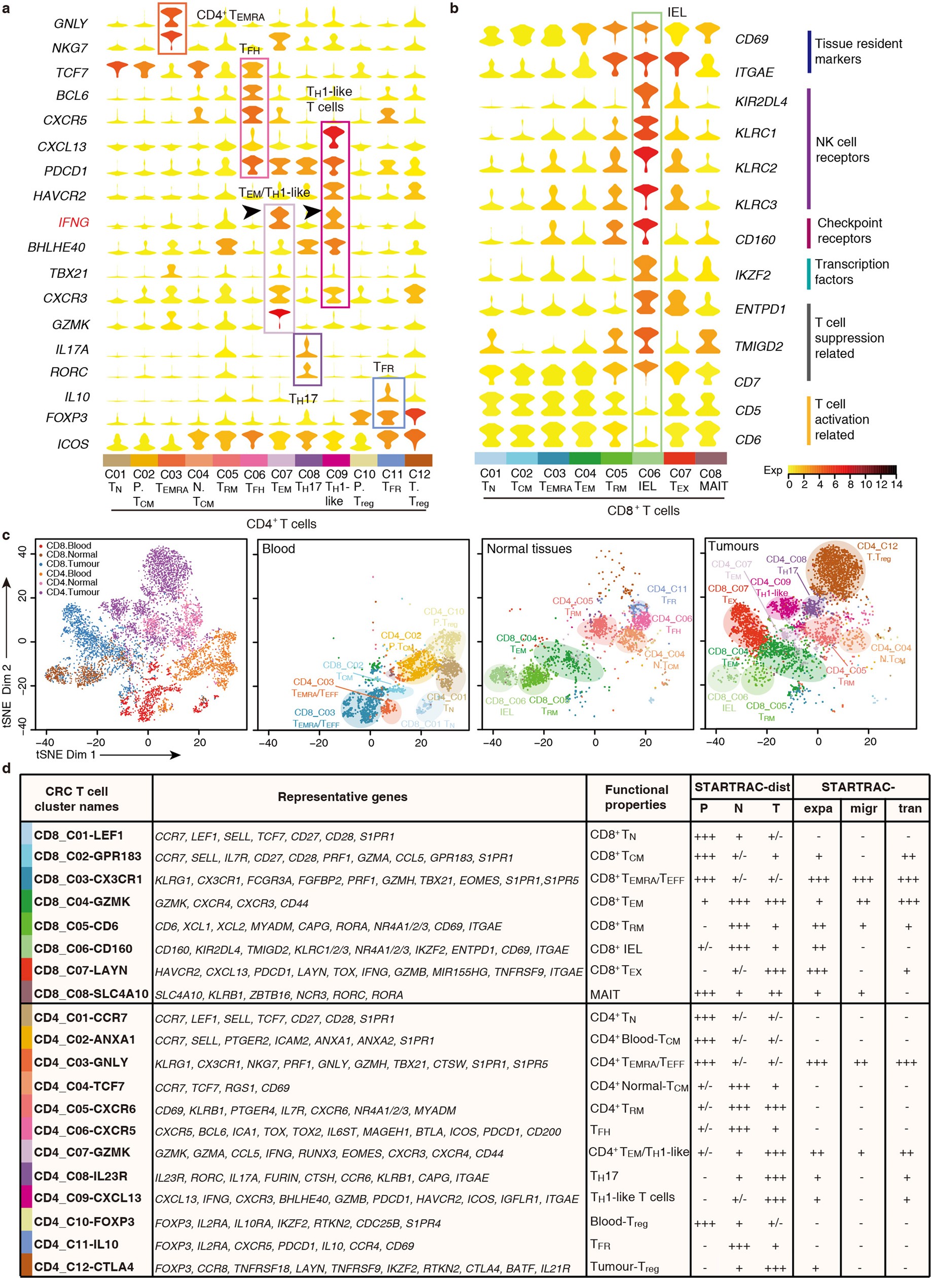 Extended Data Fig. 5: Summary of functional properties of various T cell clusters.