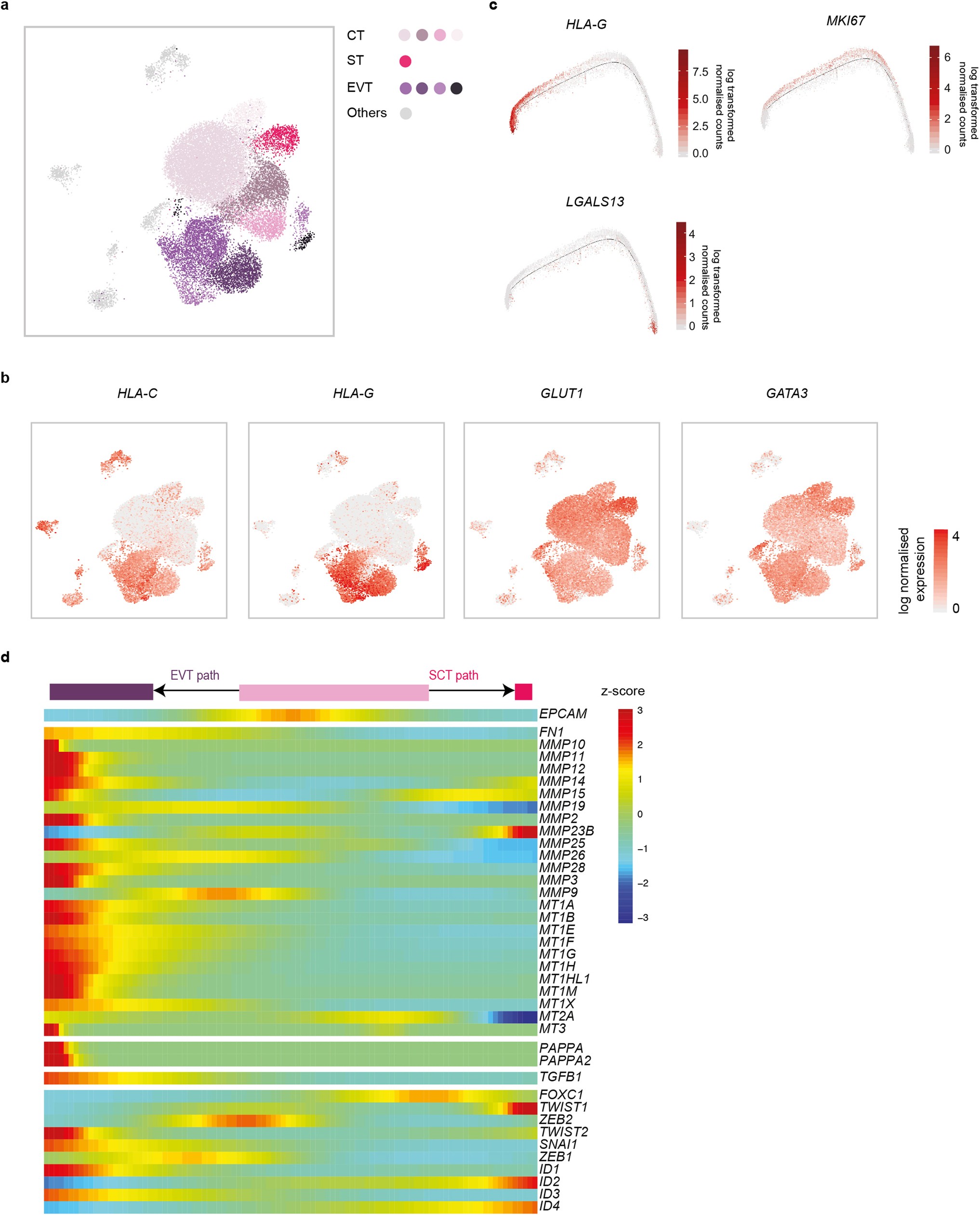 Extended Data Fig. 5