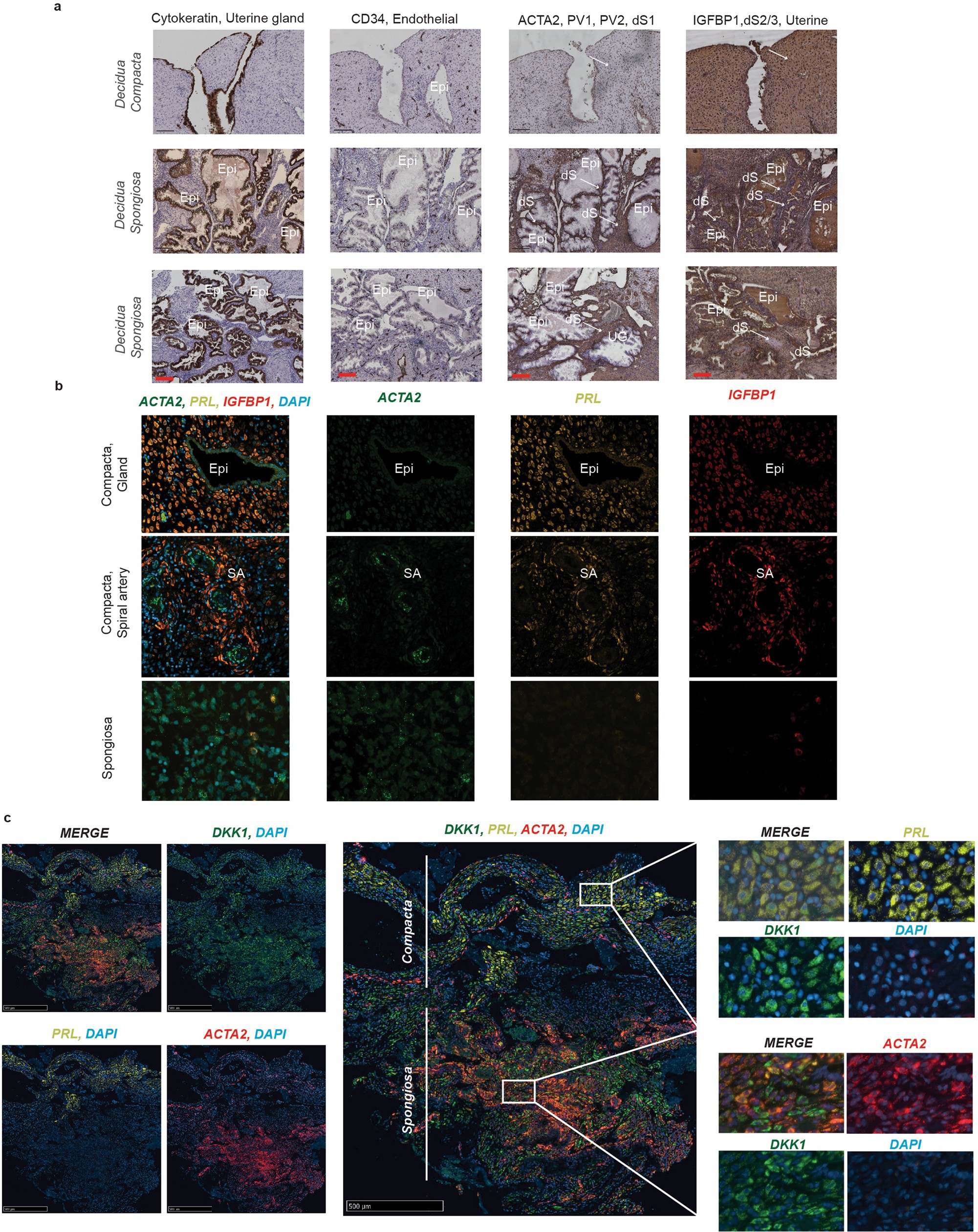 Extended Data Fig. 7
