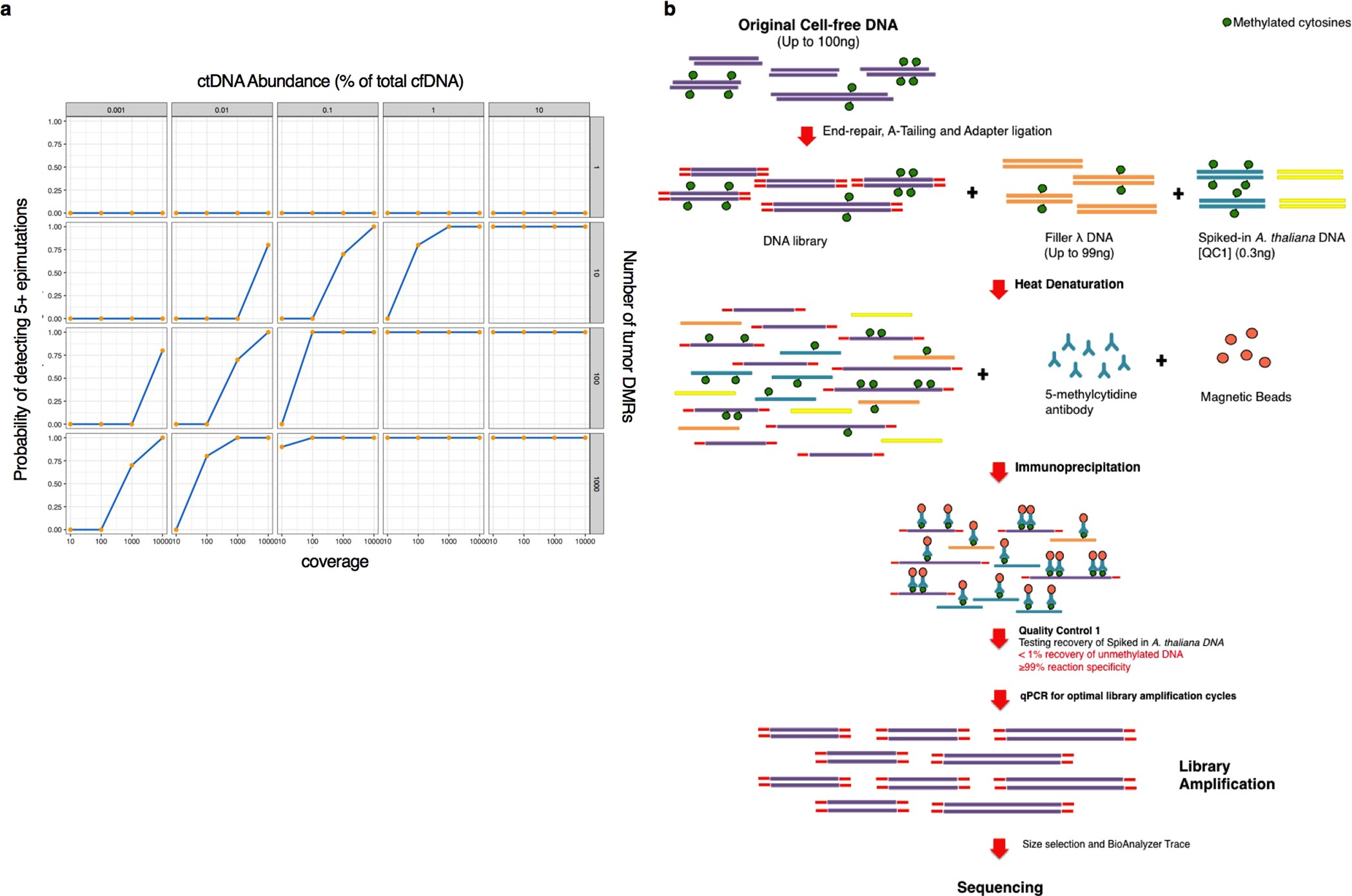 Extended Data Fig. 1: Simulation of the probability of detecting ctDNA as a function of the number of DMRs, sequencing depth and percentage of ctDNA in plasma cfDNA, and a proposed method to enrich ctDNA.