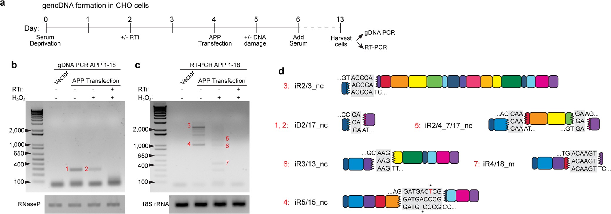 Extended Data Fig. 4