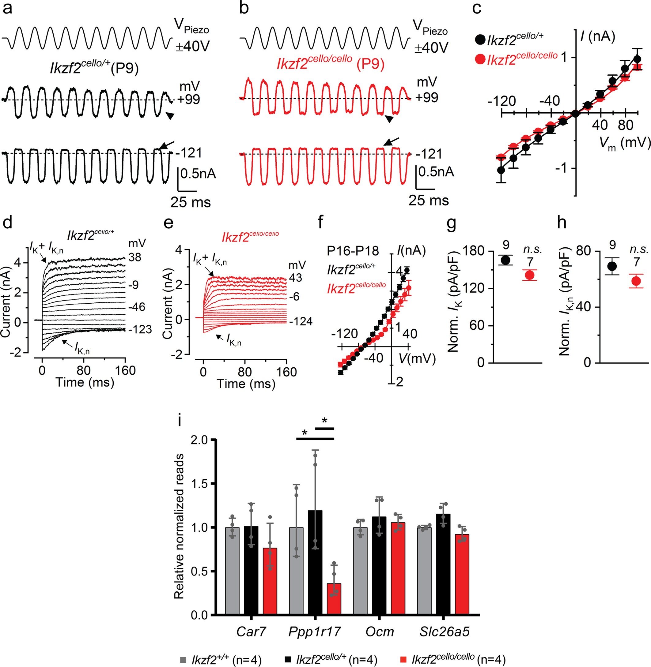Extended Data Fig. 6