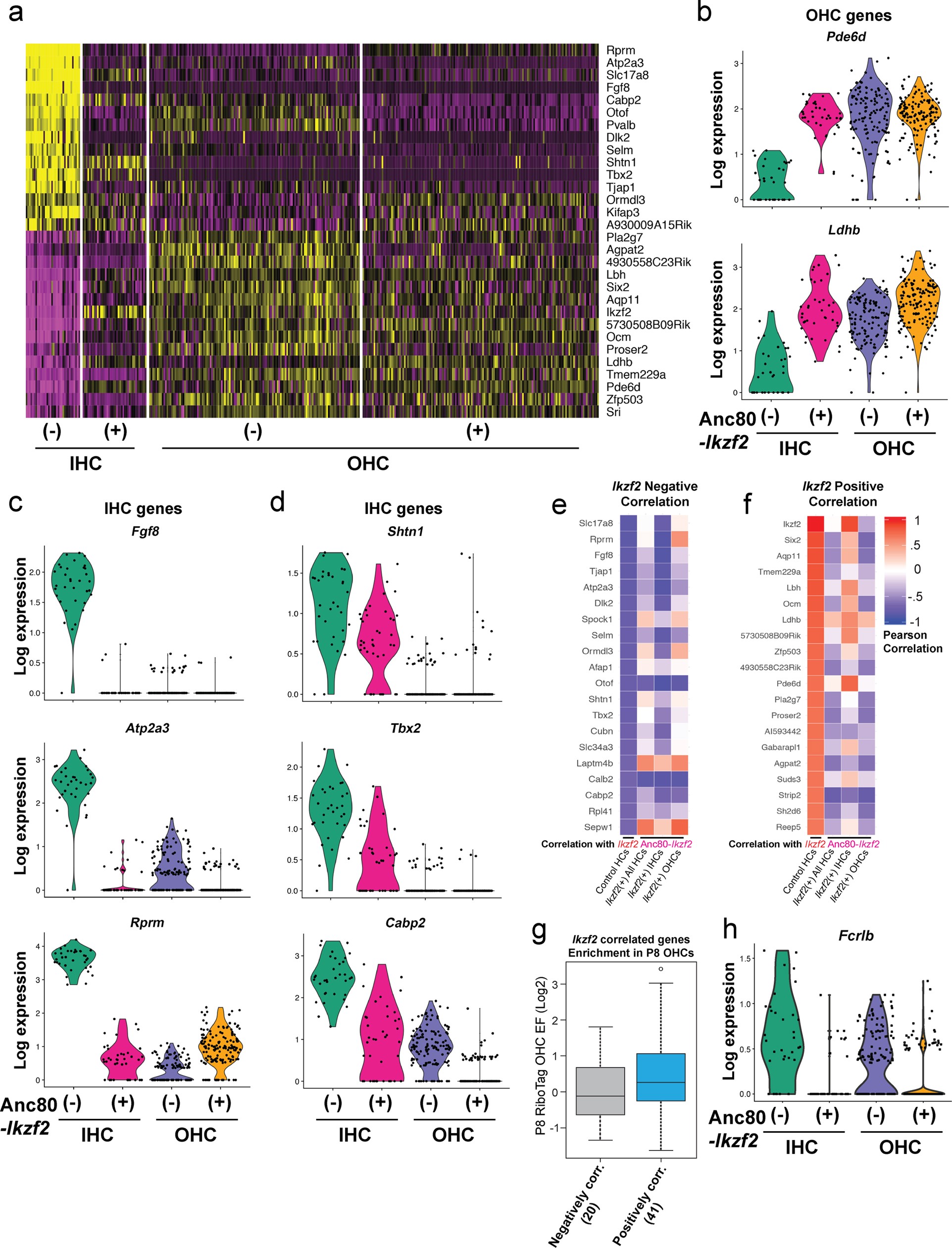 Extended Data Fig. 8