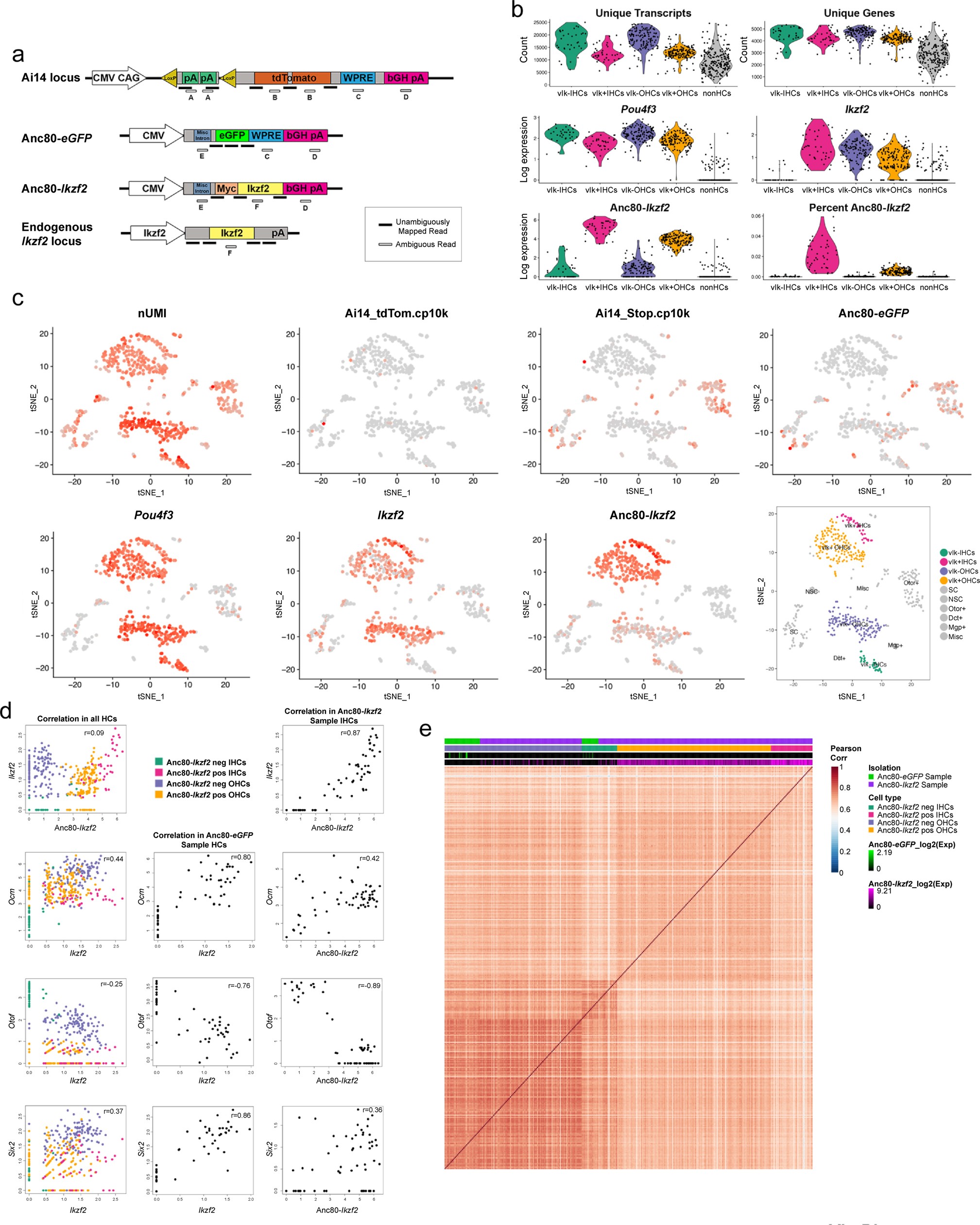 Extended Data Fig. 9