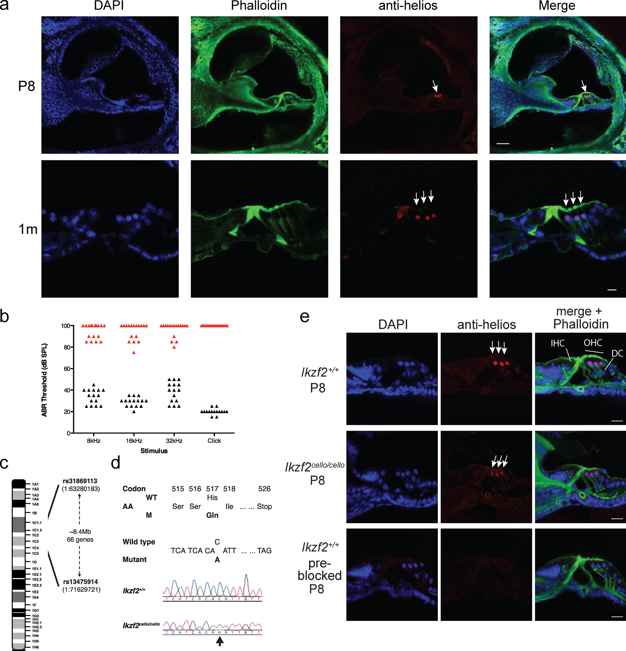 Extended Data Fig. 2