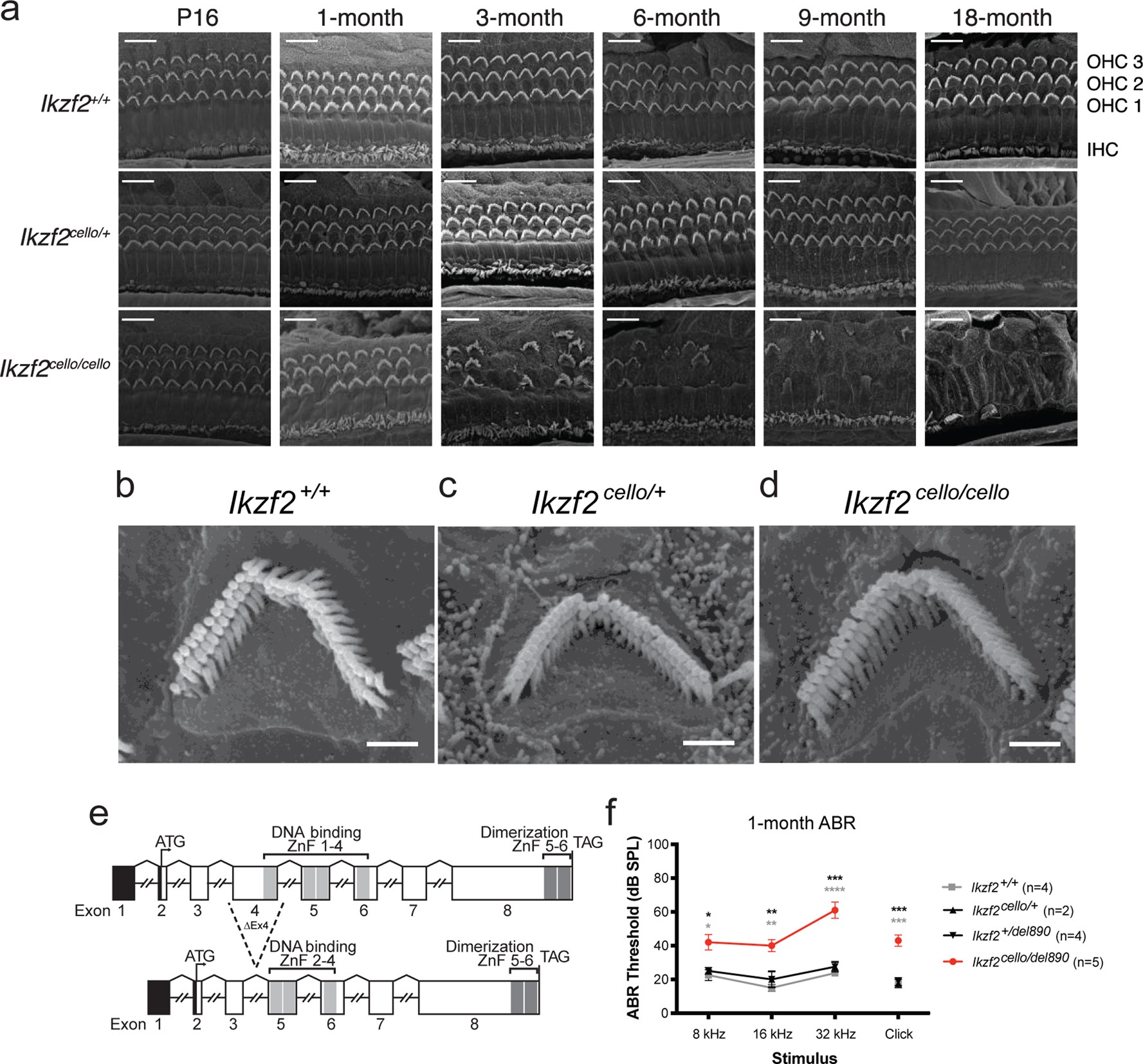 Extended Data Fig. 5