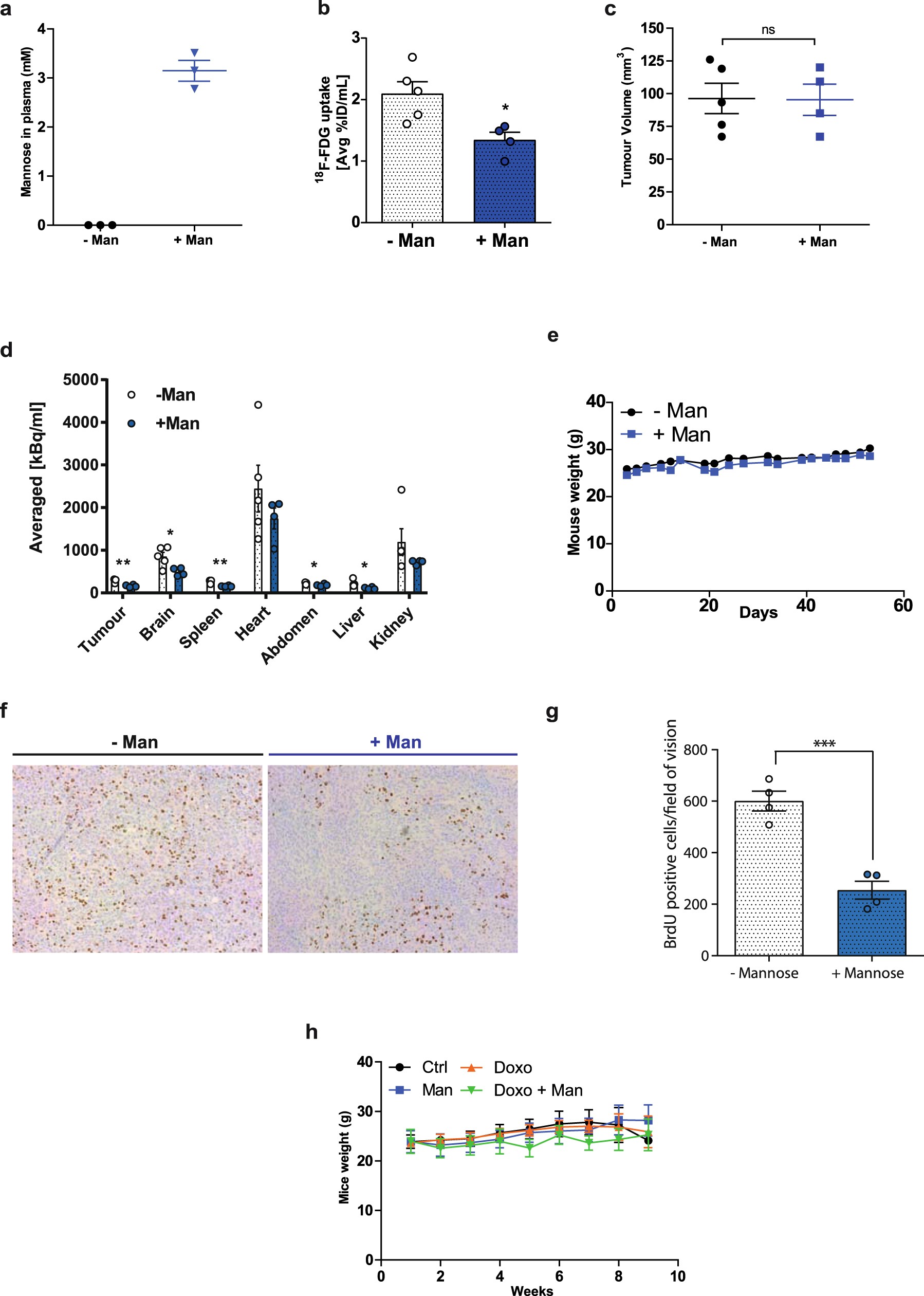 Extended Data Fig. 6: Mannose affects cell proliferation and the uptake/retention of 18F-FDG, but it does not affect animal weight.